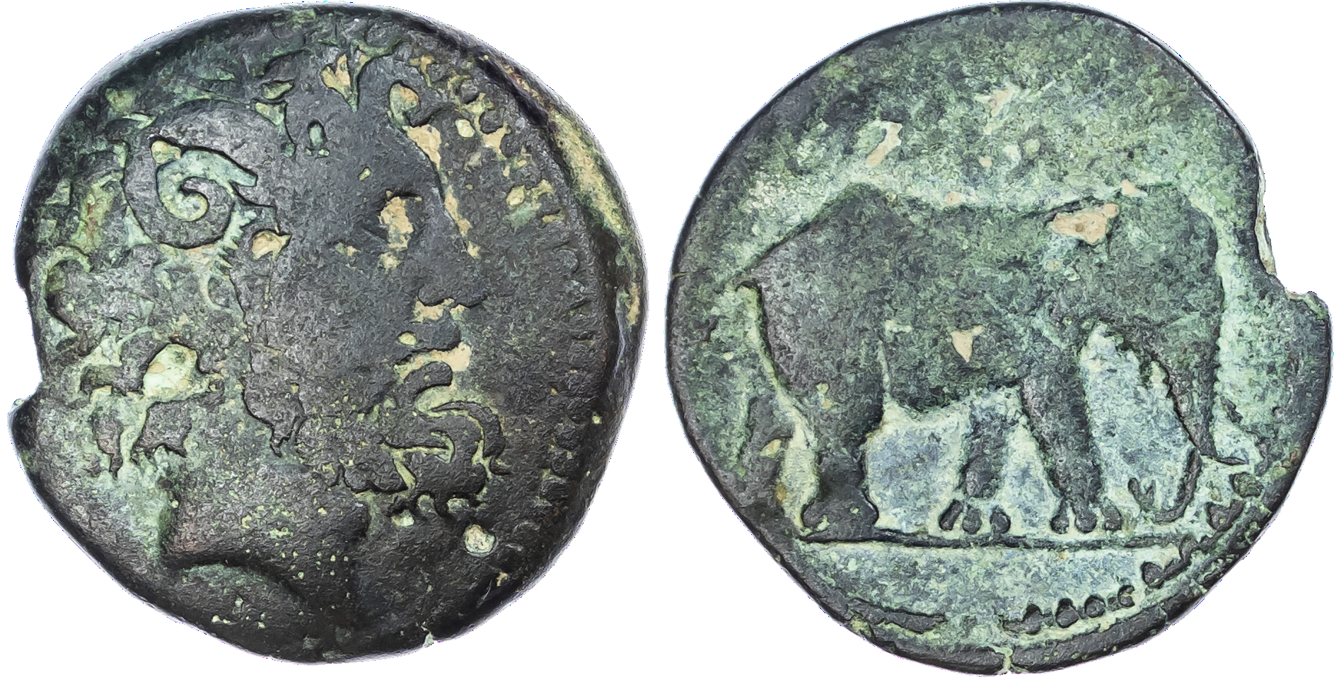 Kings of Numidia, Juba I (c. 60-46 BC) AE