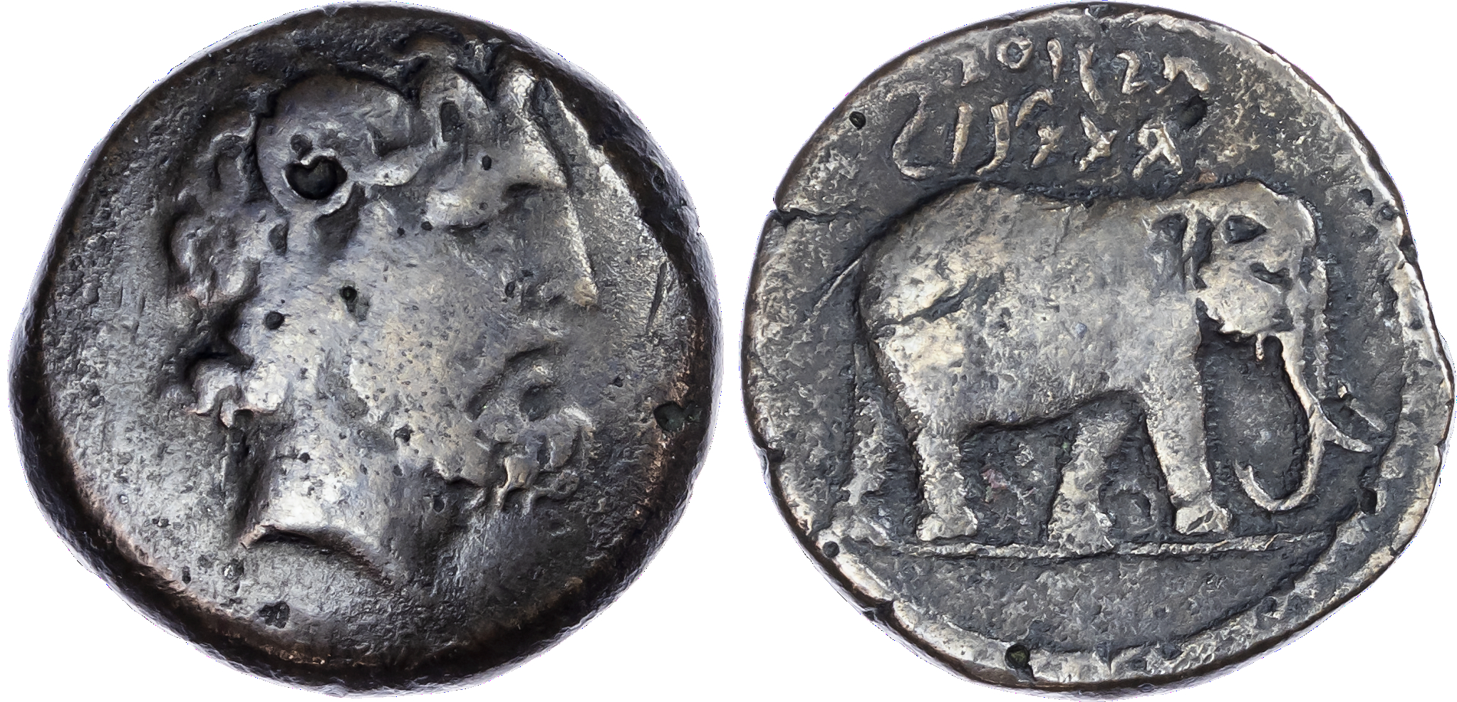 Kings of Numidia, Juba I (c. 60-46 BC) AE