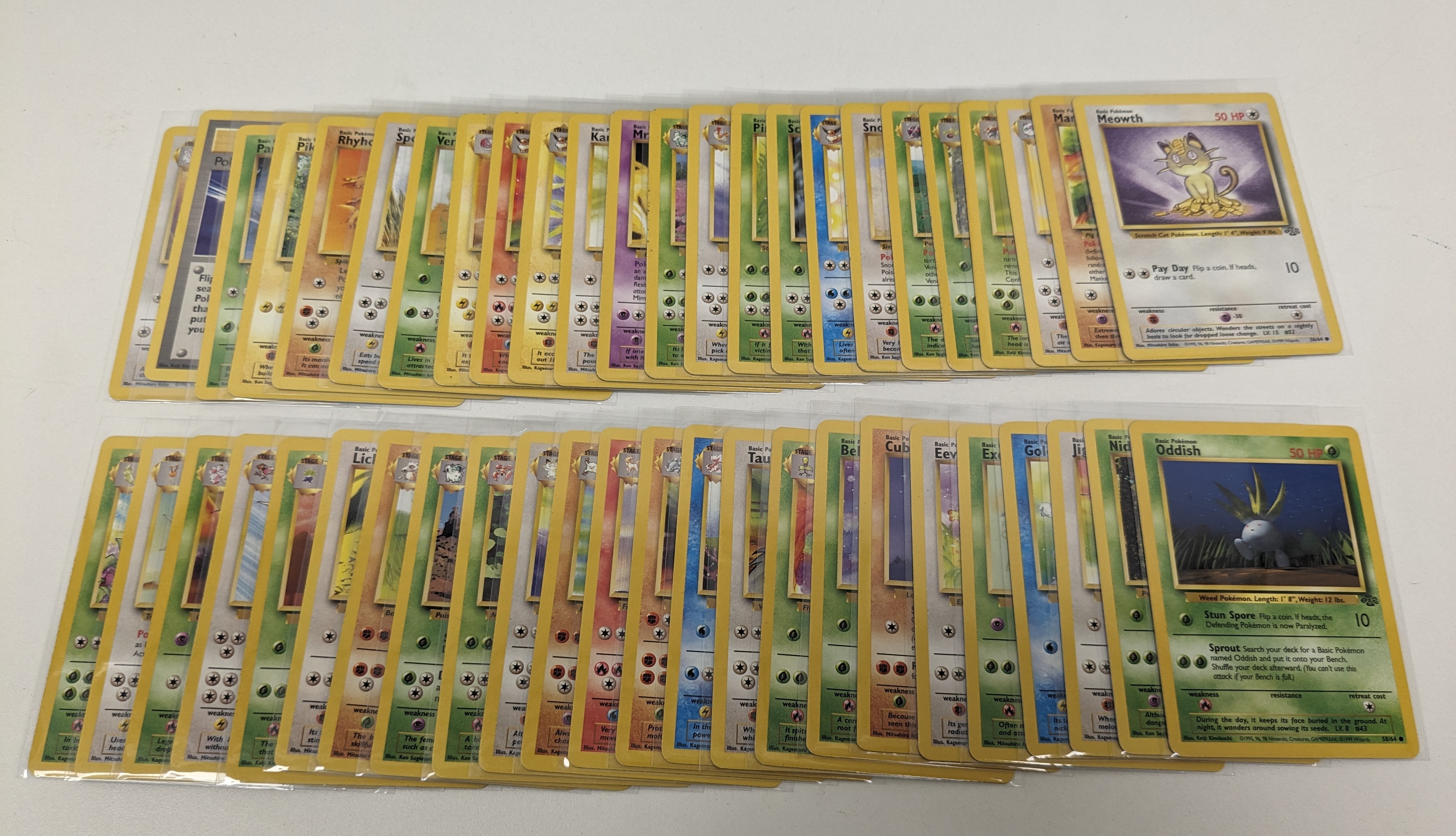 Pokémon TCG - Complete Jungle Set 64/64 - Graded and Ungraded Collection