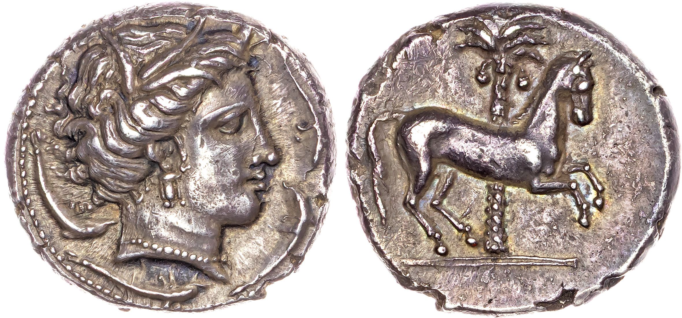 Siculo-Punic, Entella (c. 345/38-320/15 BC) AR Tetradrachm, 16.62g.