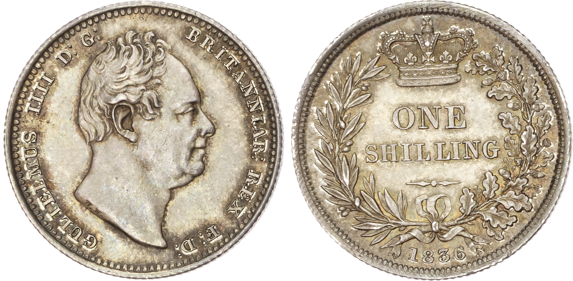 William IV (1830‑1837), AR Shilling, 1836.