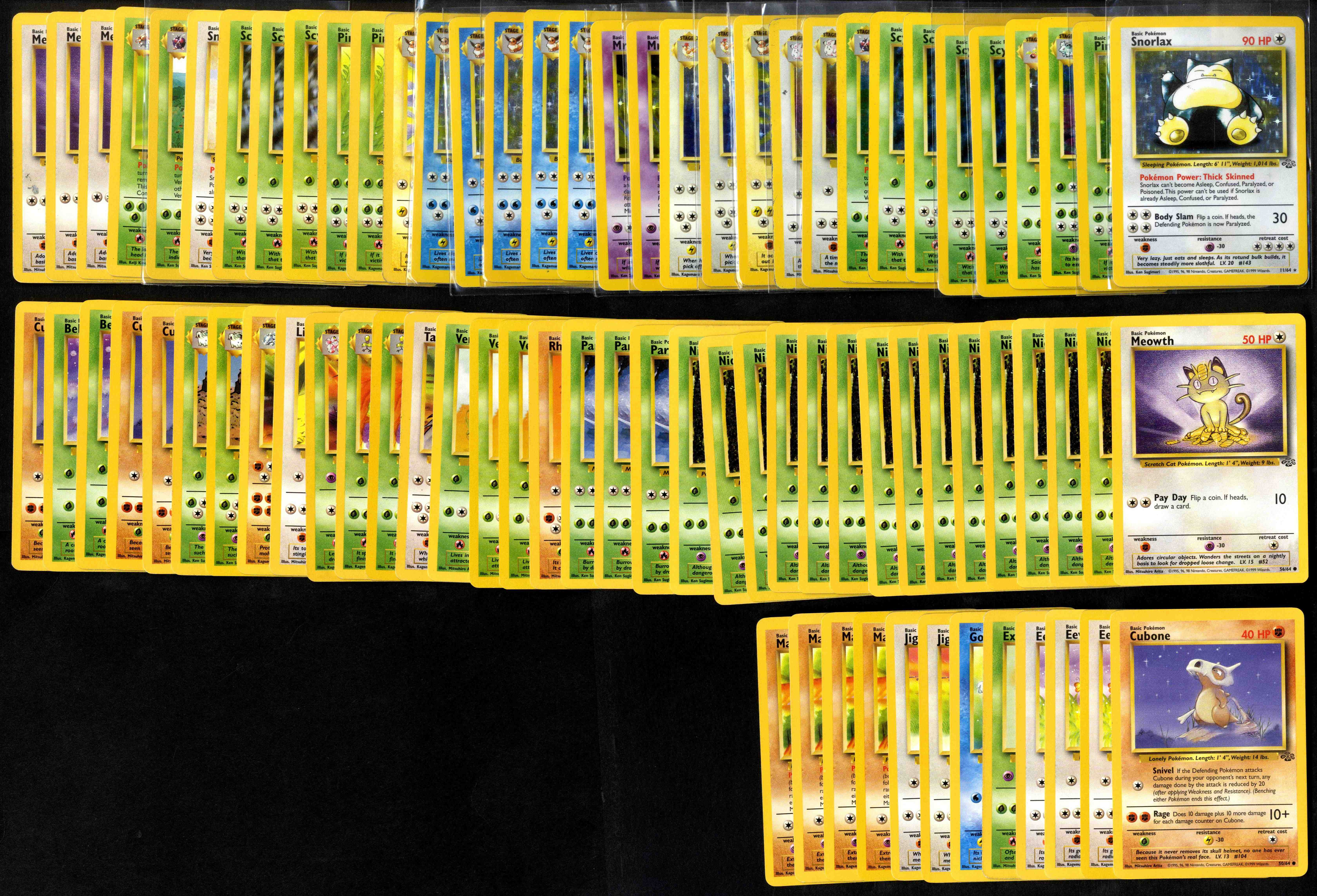 Pokémon Jungle Collection 