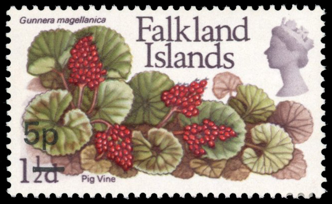 Falkland Islands SG 264a 1971 5p on 1½d surcharge error mint
