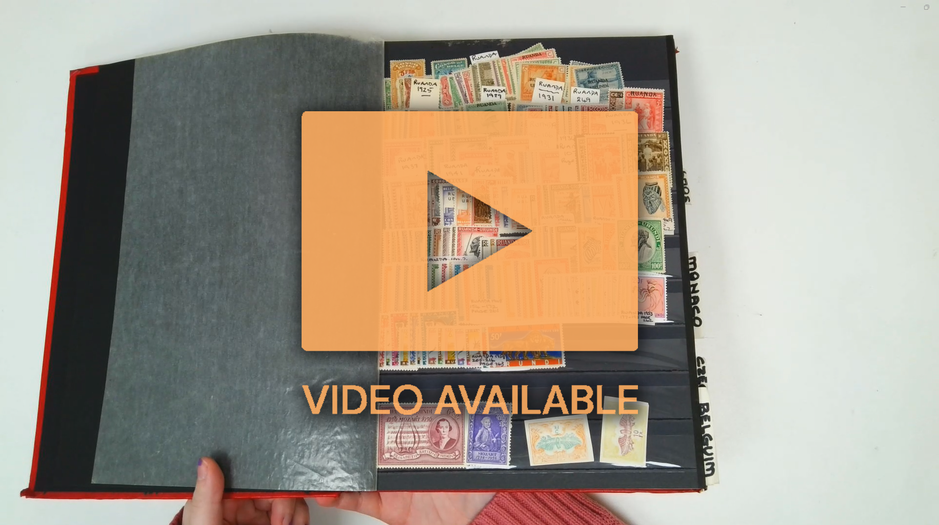 ALL WORLD miscellany in stockbook Belgium, Czech and Monaco 