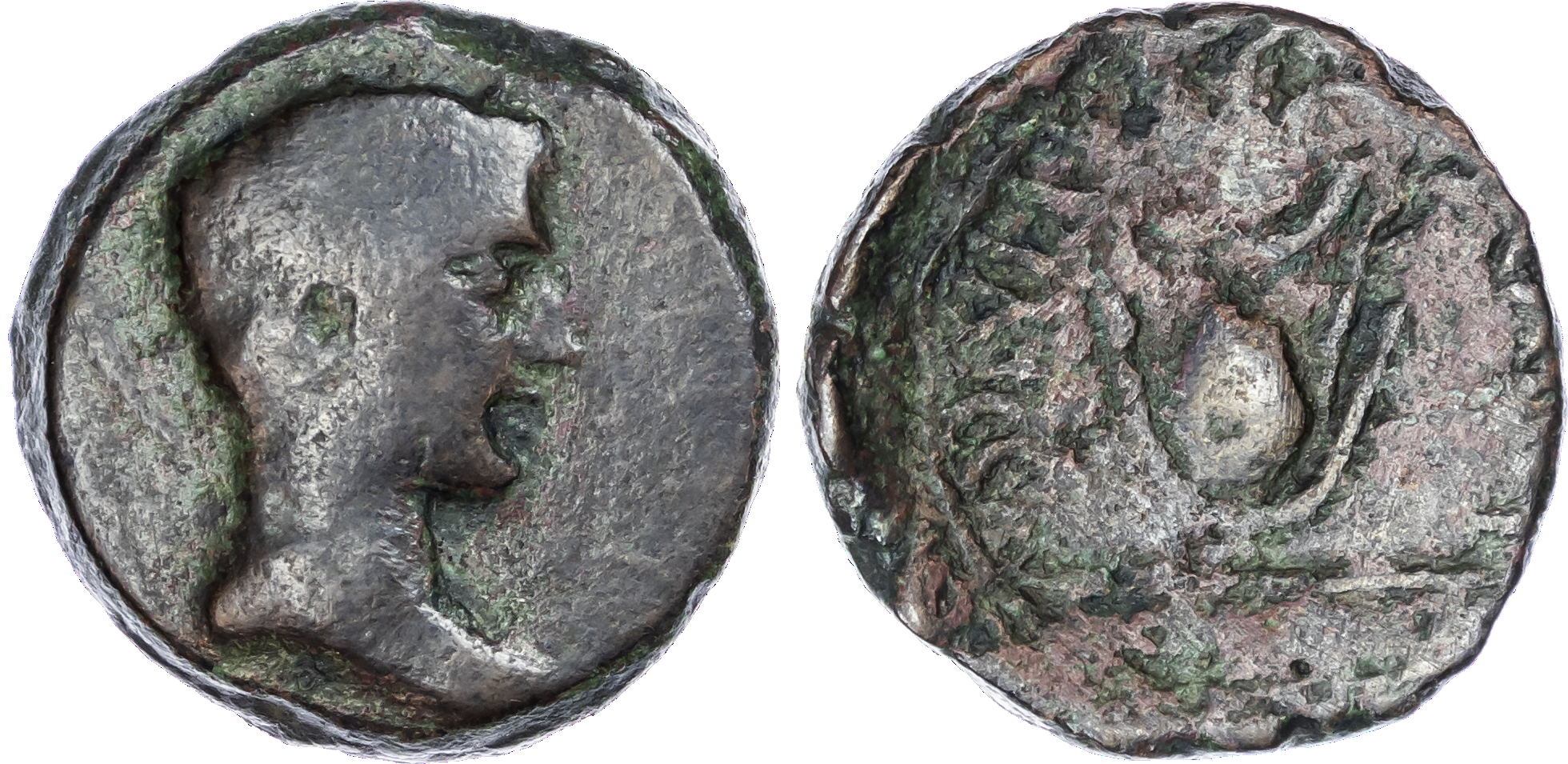 Kings of Mauretania, Juba II, with Cleopatra Selene (25 BC – AD 24) AE