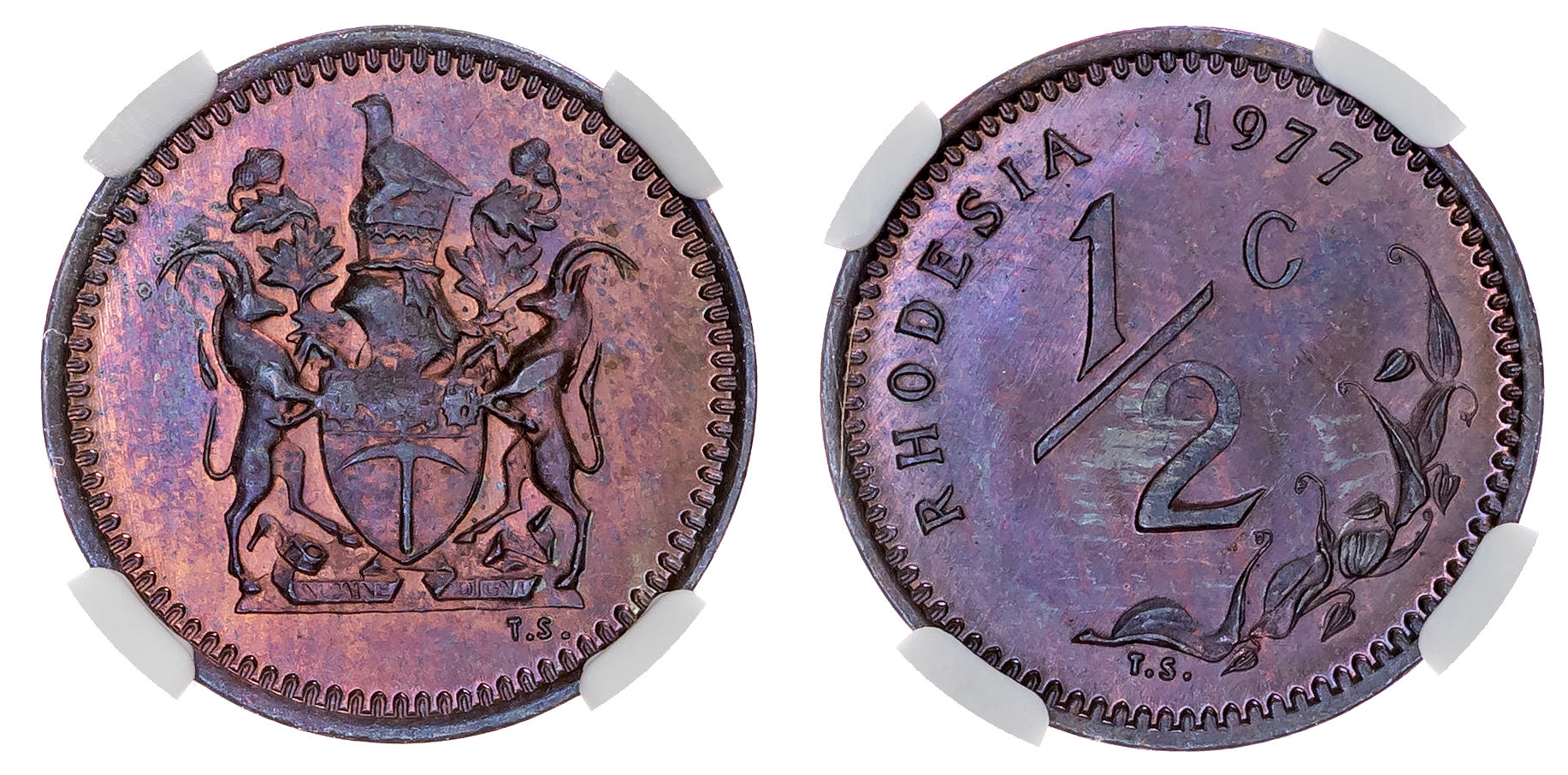 Rhodesia, Republic (1970-1977), bronze Half Cent, 1977 - MS 65 BN