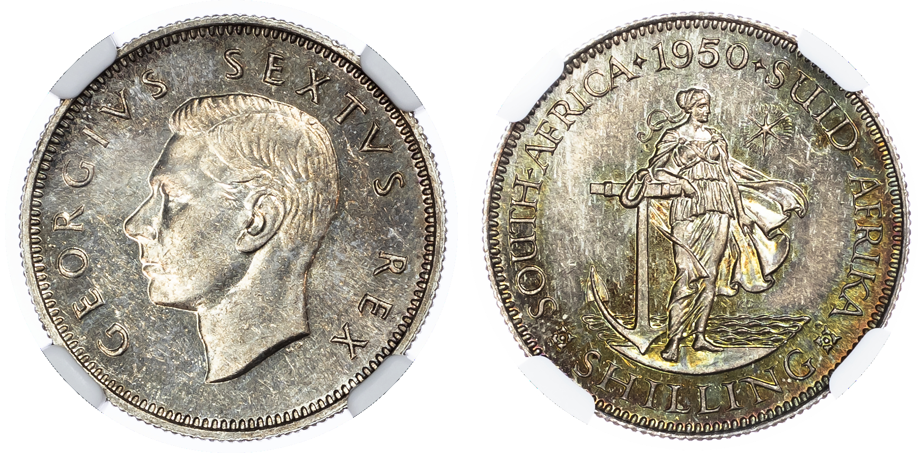 South Africa, George VI (1936-1952), silver Proof Shilling, 1950