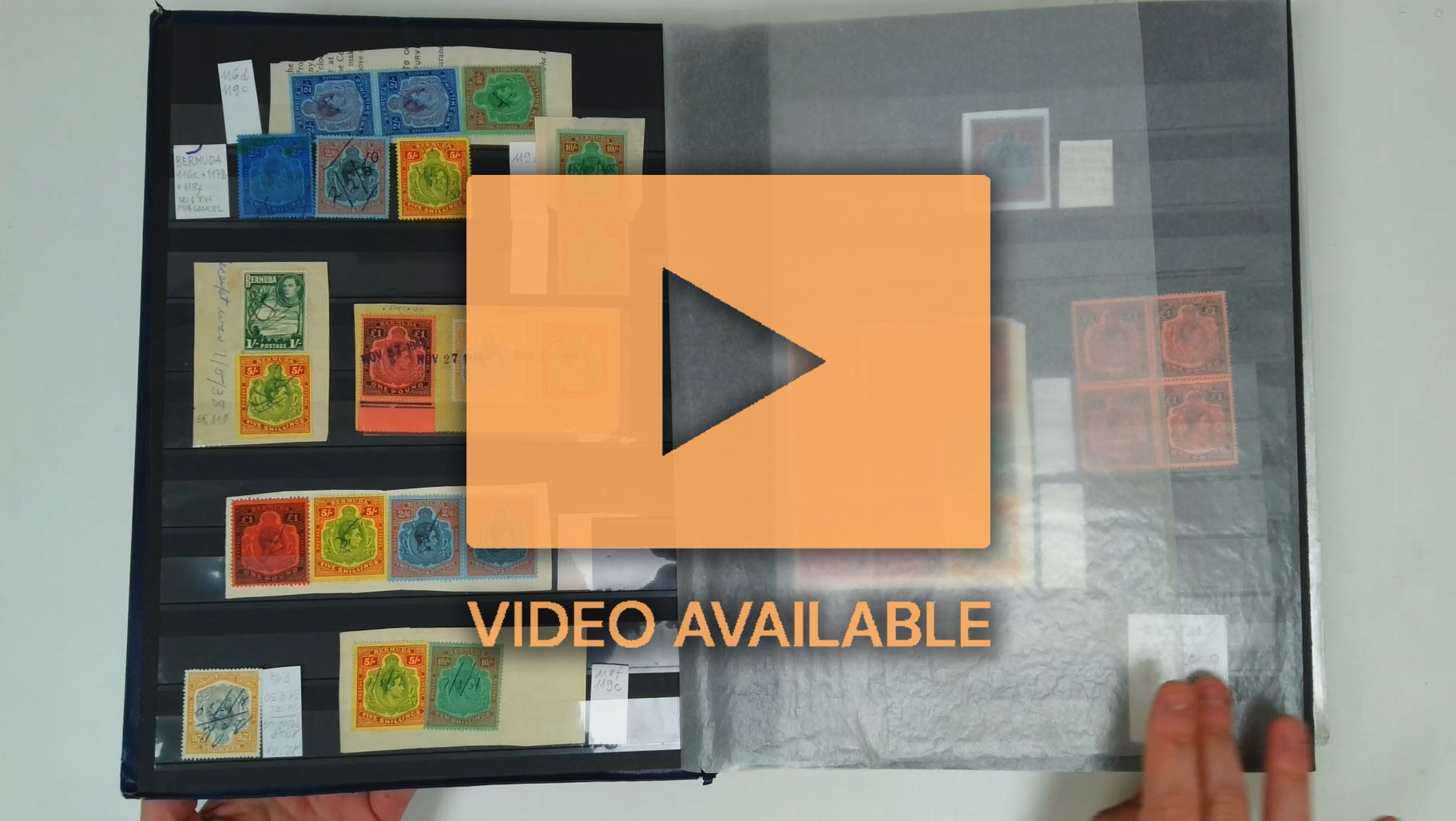 Bermuda exceptional Revenue collection