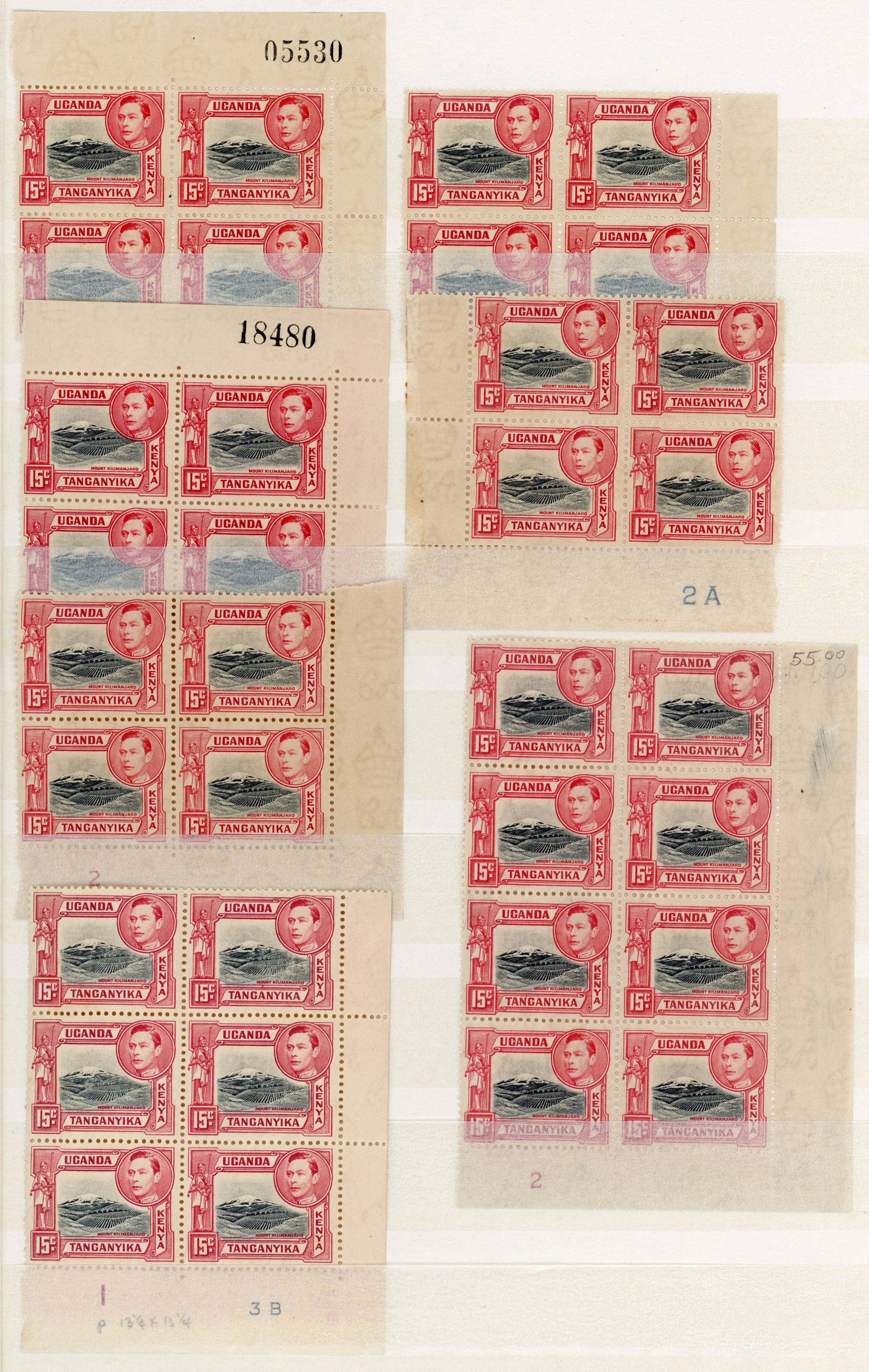 KUT SG 137, a multiples mint