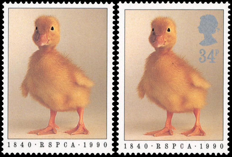 1990 34p Duckling, 150th Anniversary of RSPCA, silver (Queen's head and face value) omitted with normal for comparison.