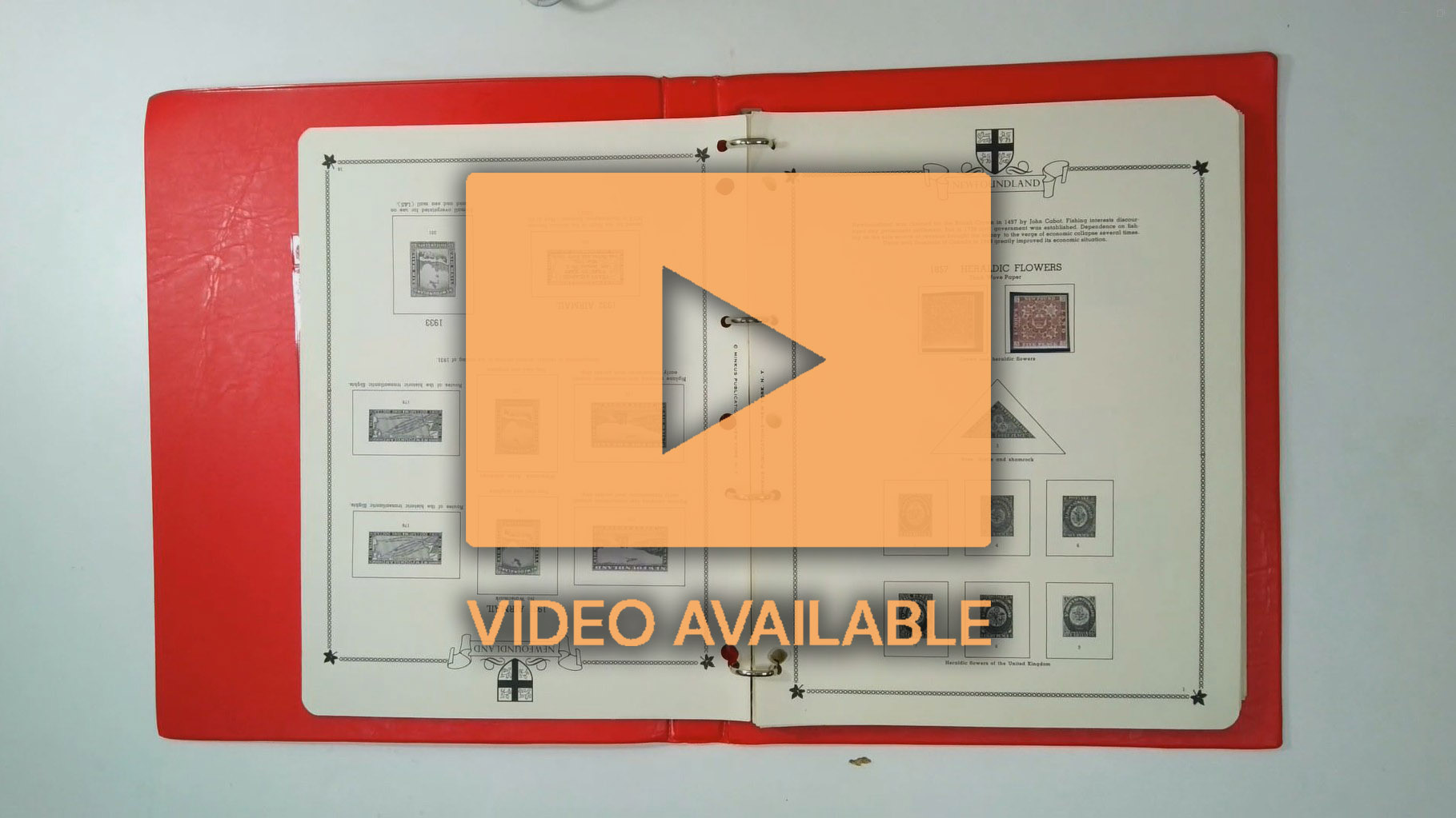 Newfoundland collection mint