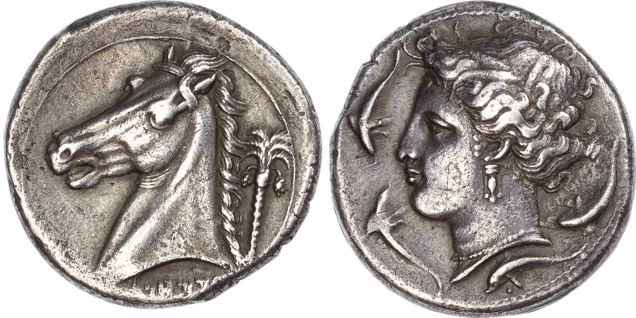 Sicily, Siculo-Punic, Entella (c. 320/15-300 BC) AR Tetradrachm, 16.48g. 