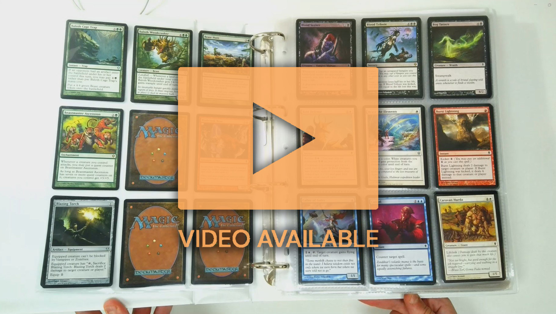 Zendikar Block Collection 