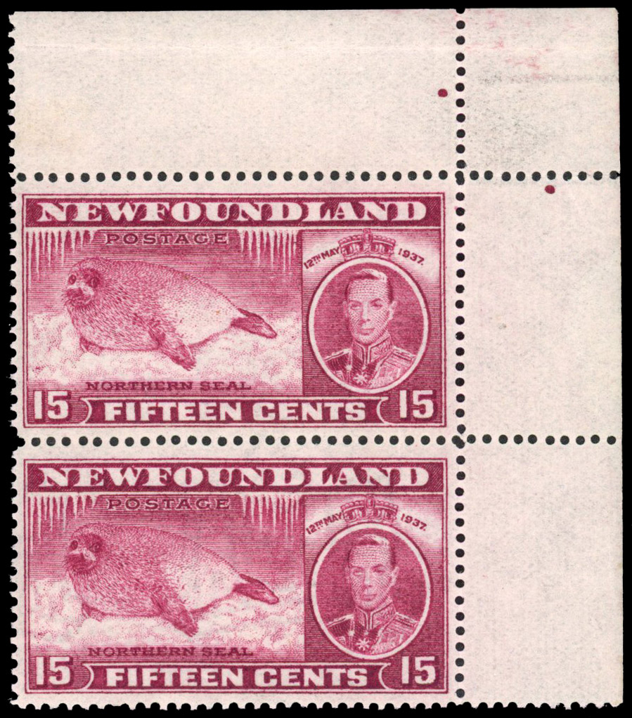 Newfoundland SG 263ca pair mint