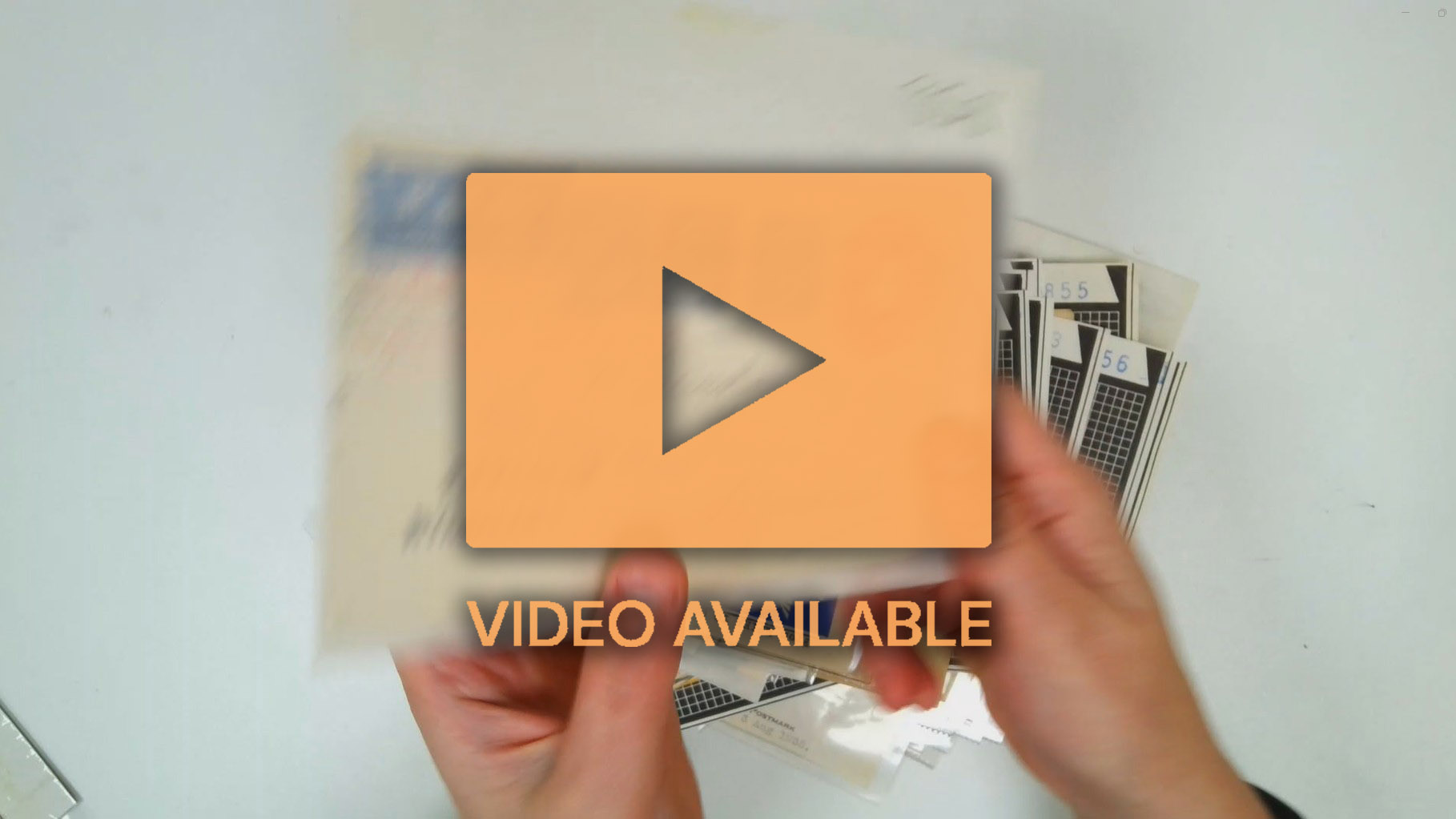 Rhodesia and Nyasaland mint and used collection in a carton