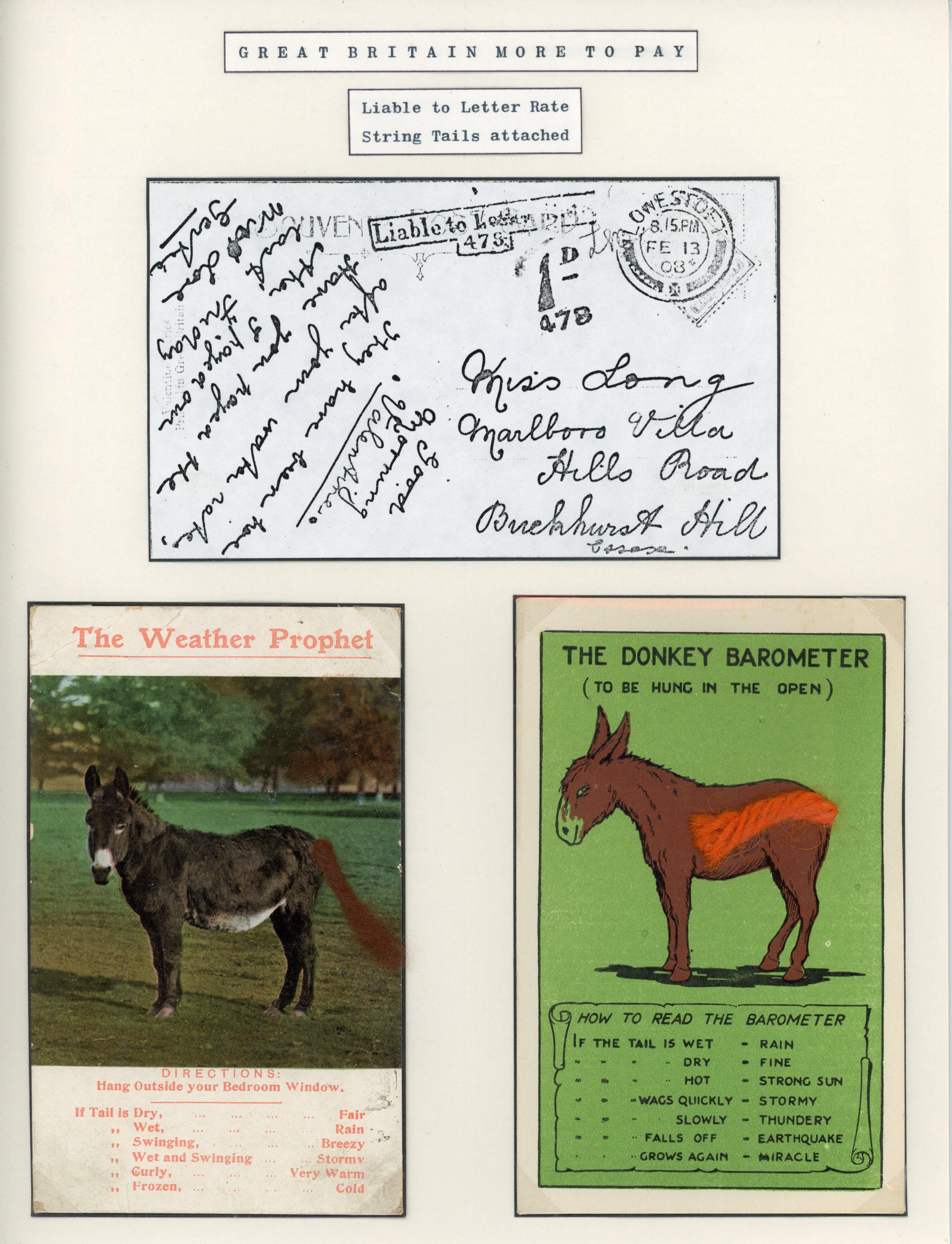 Great Britain 1908 pair of novelty postcards of donkeys with string tails attached