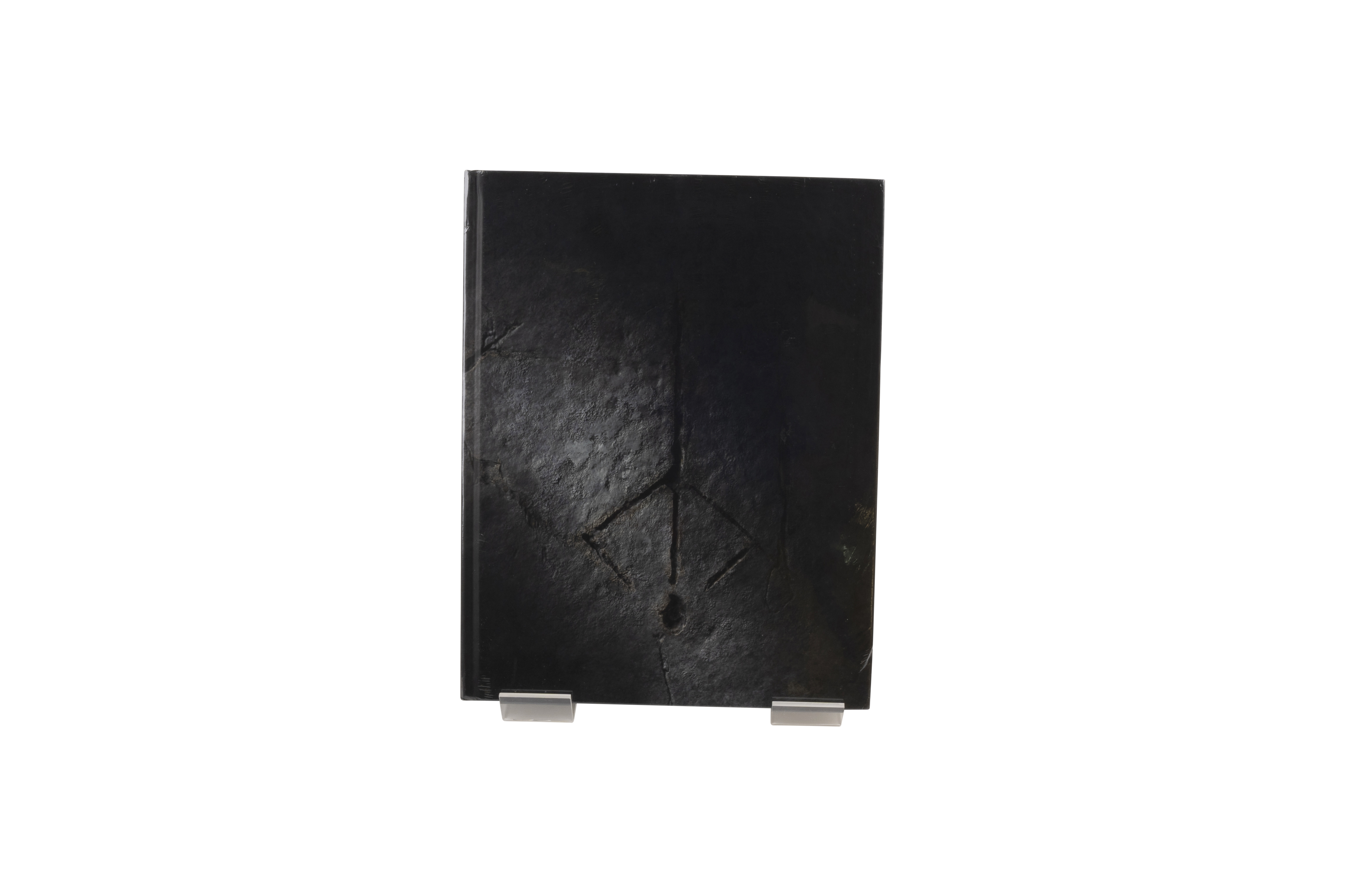 Bloodborne Collector's Edition Guide