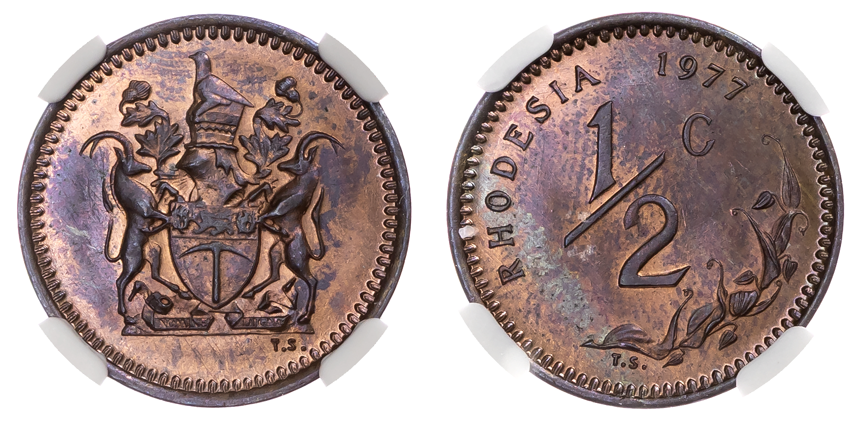 Rhodesia, Republic (1970-1977), bronze Half Cent, 1977 - MS 65 BN