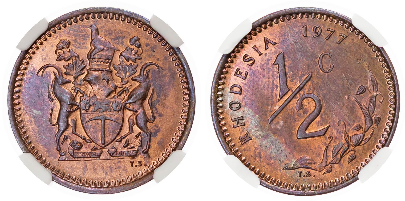 Rhodesia, Republic (1970-1977), bronze Half Cent, 1977 - MS 65 BN