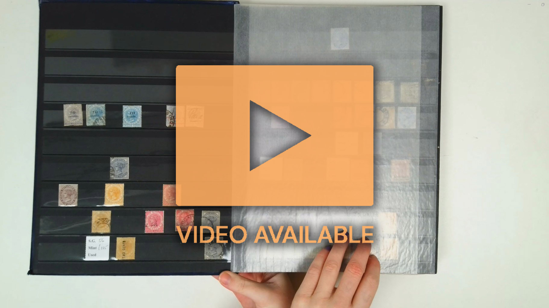 Malayan States collection in three stockbooks