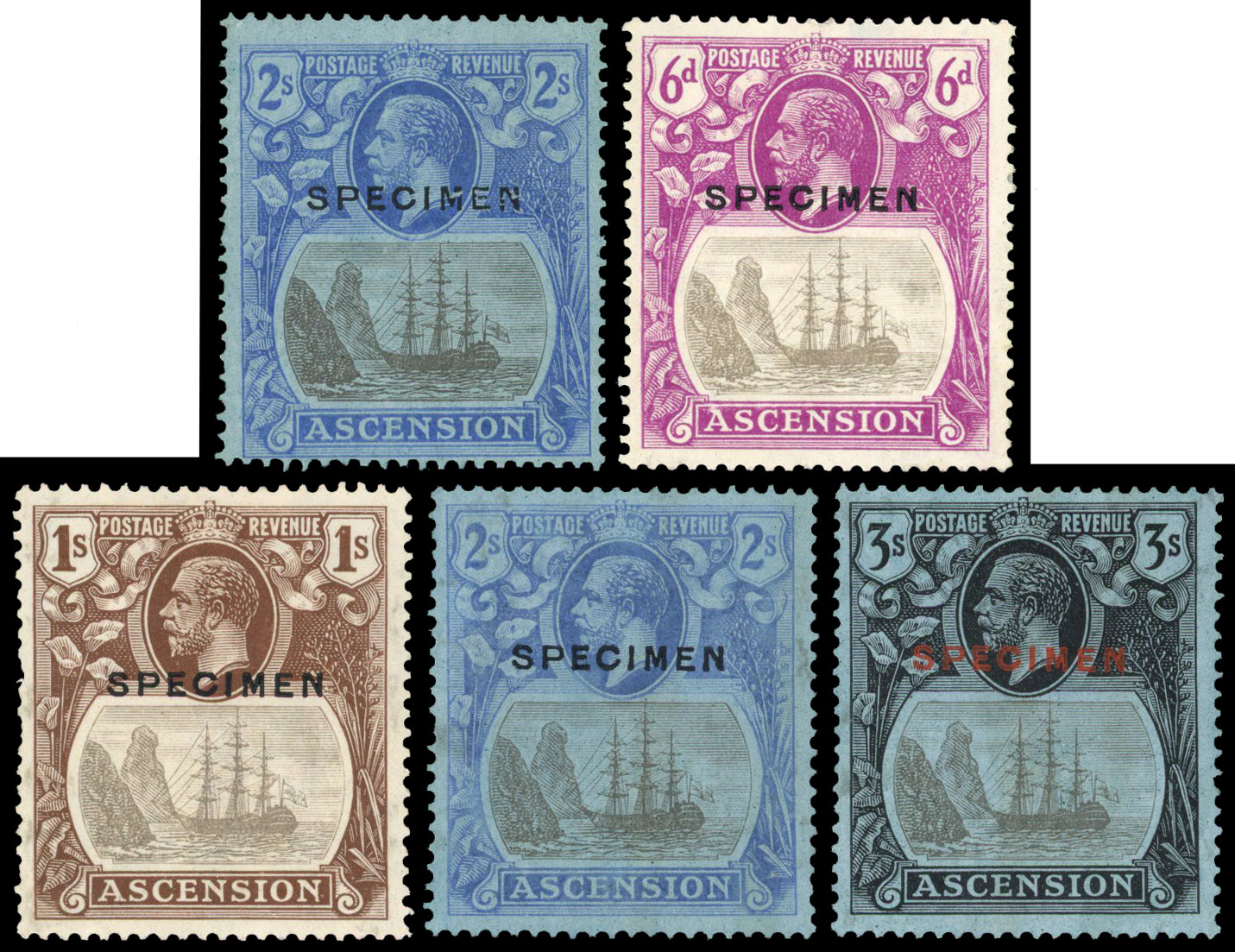 Ascension SG 16bs/20bs Specimens