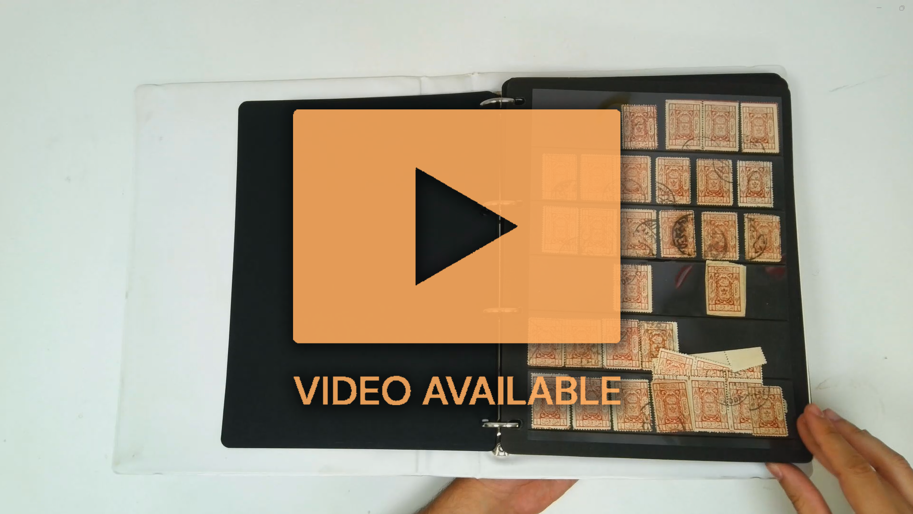 Saudi Hejaz duplicated accumulation on stockleaves