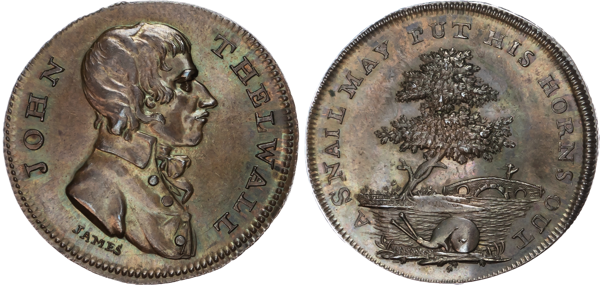 London, Holborn , Thomas Spence Halfpenny, Bust of John Thelwall, rev. A snail crawling by a stream with a tre…