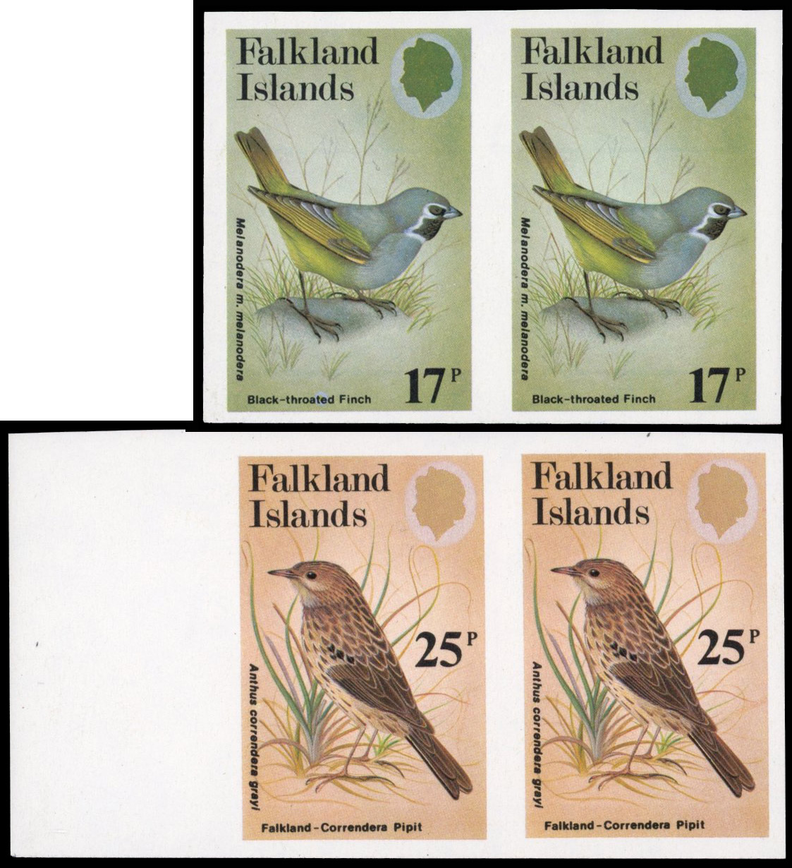 Falkland Is SG 436-7 1982 Passerine Birds 17p and 25p imperforate pairs mint