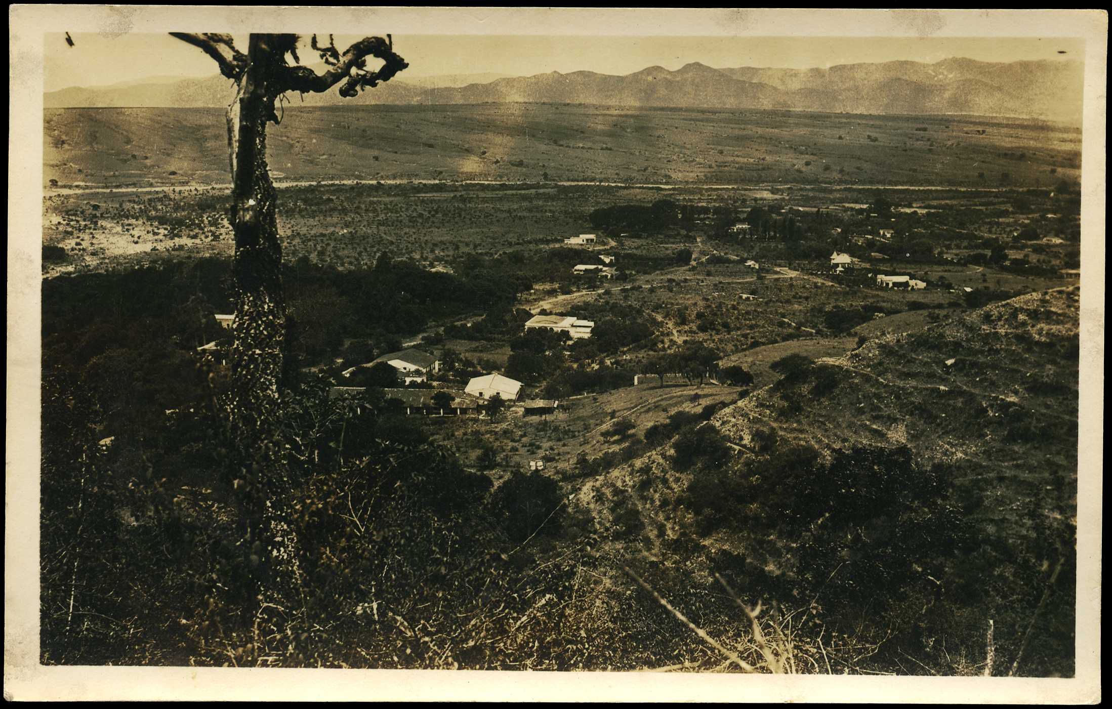 POSTCARDS: 1920 (c.) fourteen unused...