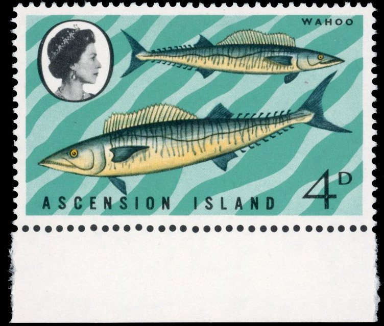 Ascension SG 126w 1970 4d Wahoo with watermark Crown to right of CA