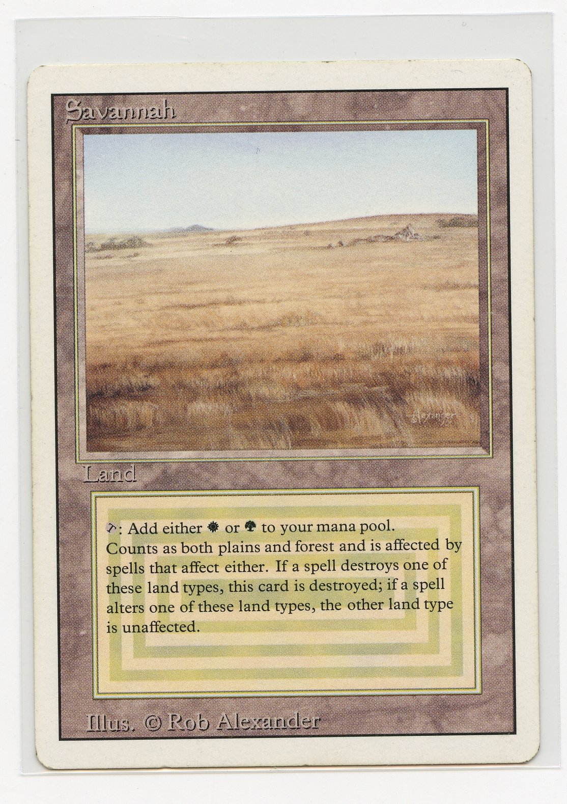 Savannah - Revised Dual Land (LP)