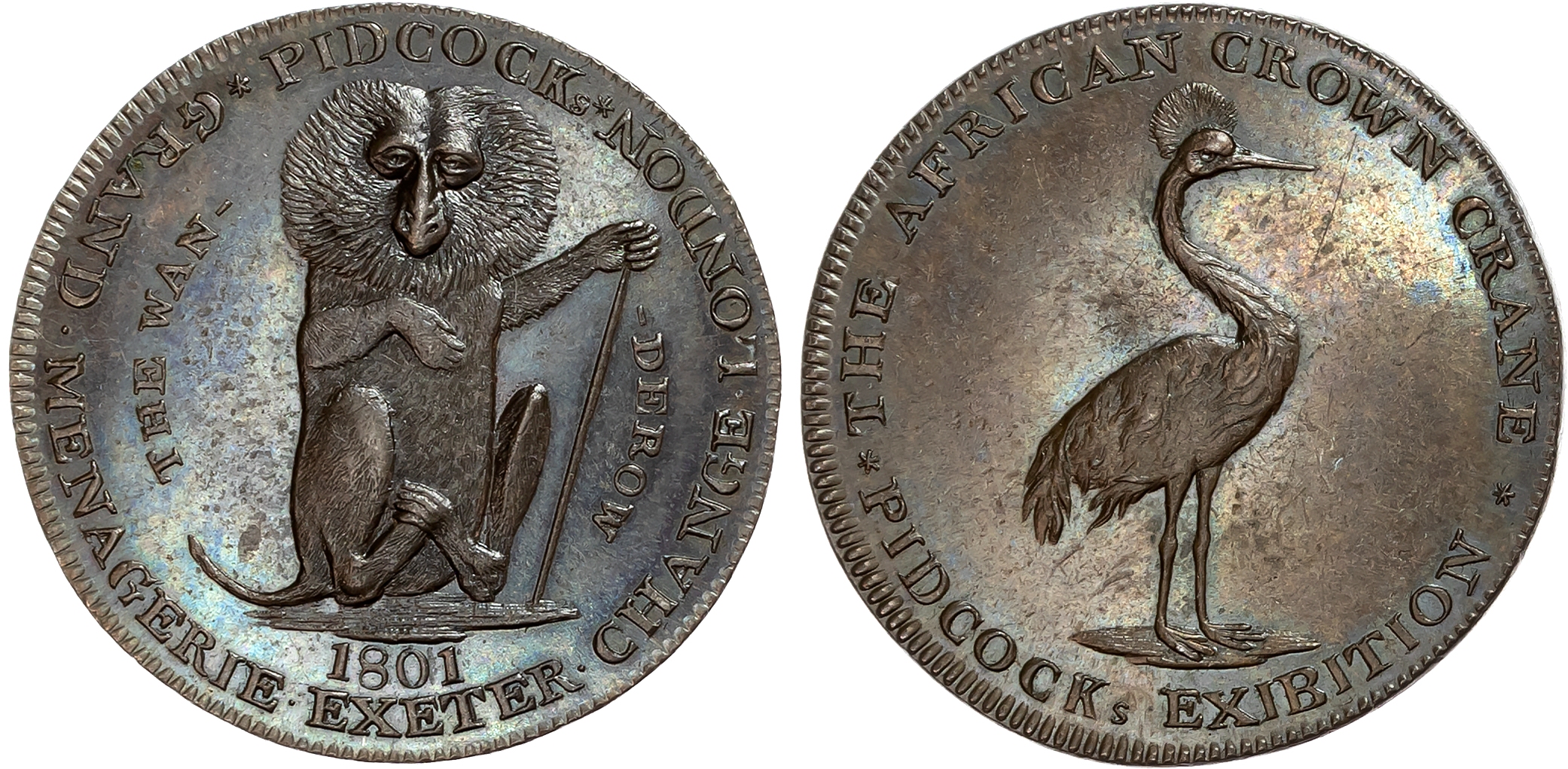 London , Strand, Gilbert Pidcock Halfpenny 1801, A Wanderow (Lion-tailed macaque), rev. A crane standing right, edge pla …