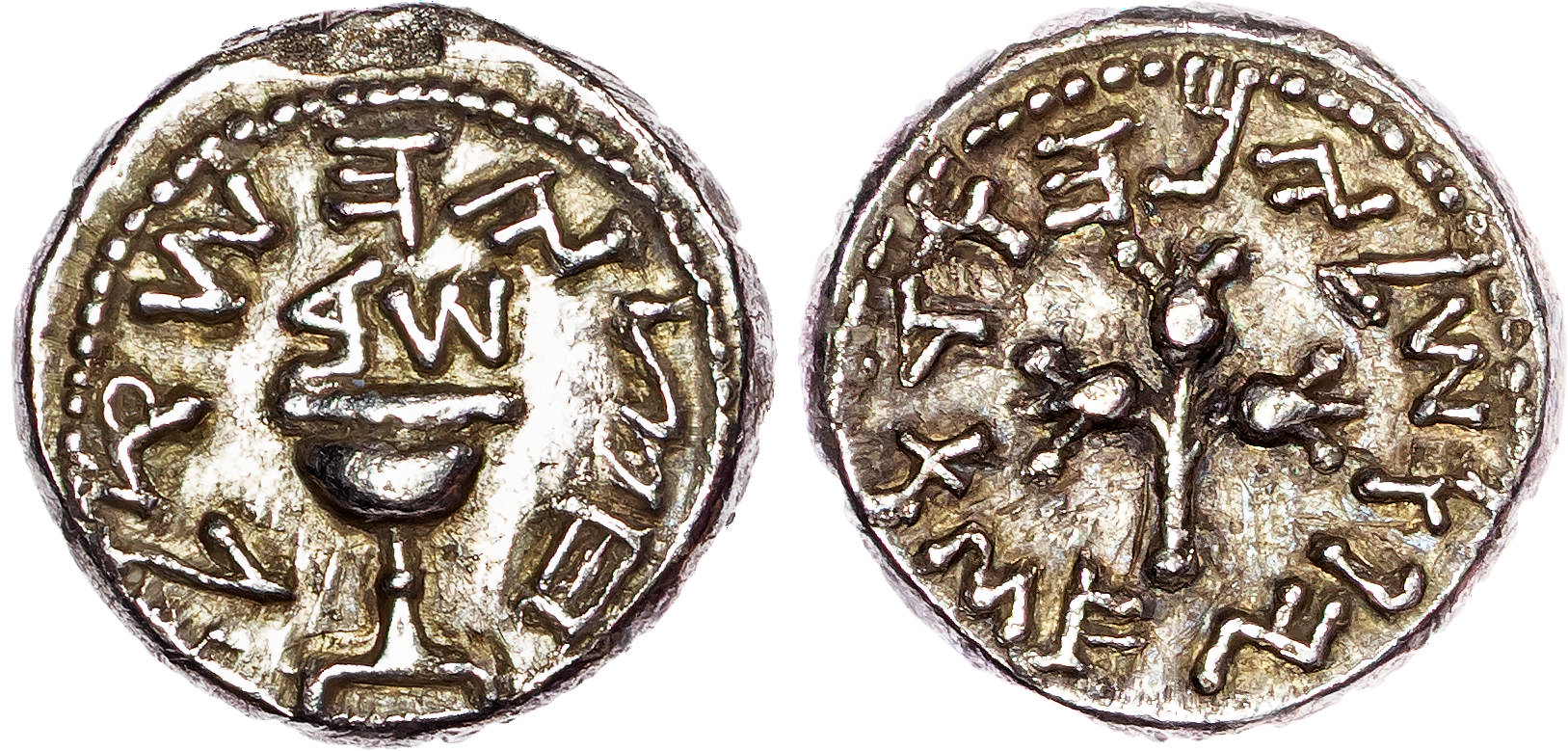 Judaea, First Revolt (66-73 CE) AR Half Shekel, Year 2 (67-68 CE), 6.72g.