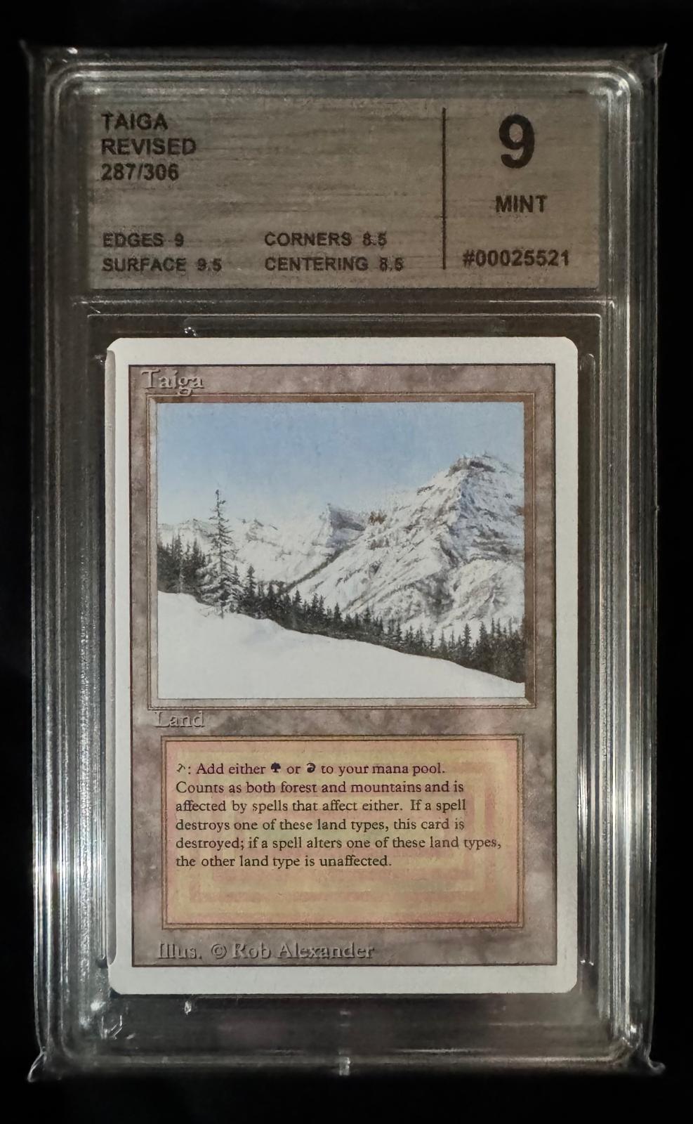 Magic The Gathering - Taiga - Revised - CMG 9 Mint  