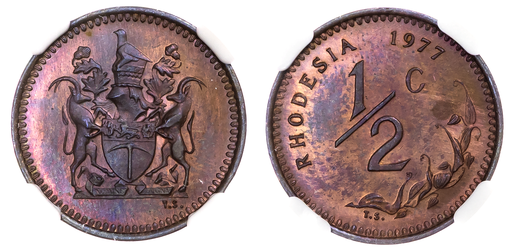 Rhodesia, Republic (1970-1977), bronze Half Cent, 1977 - MS 65 BN