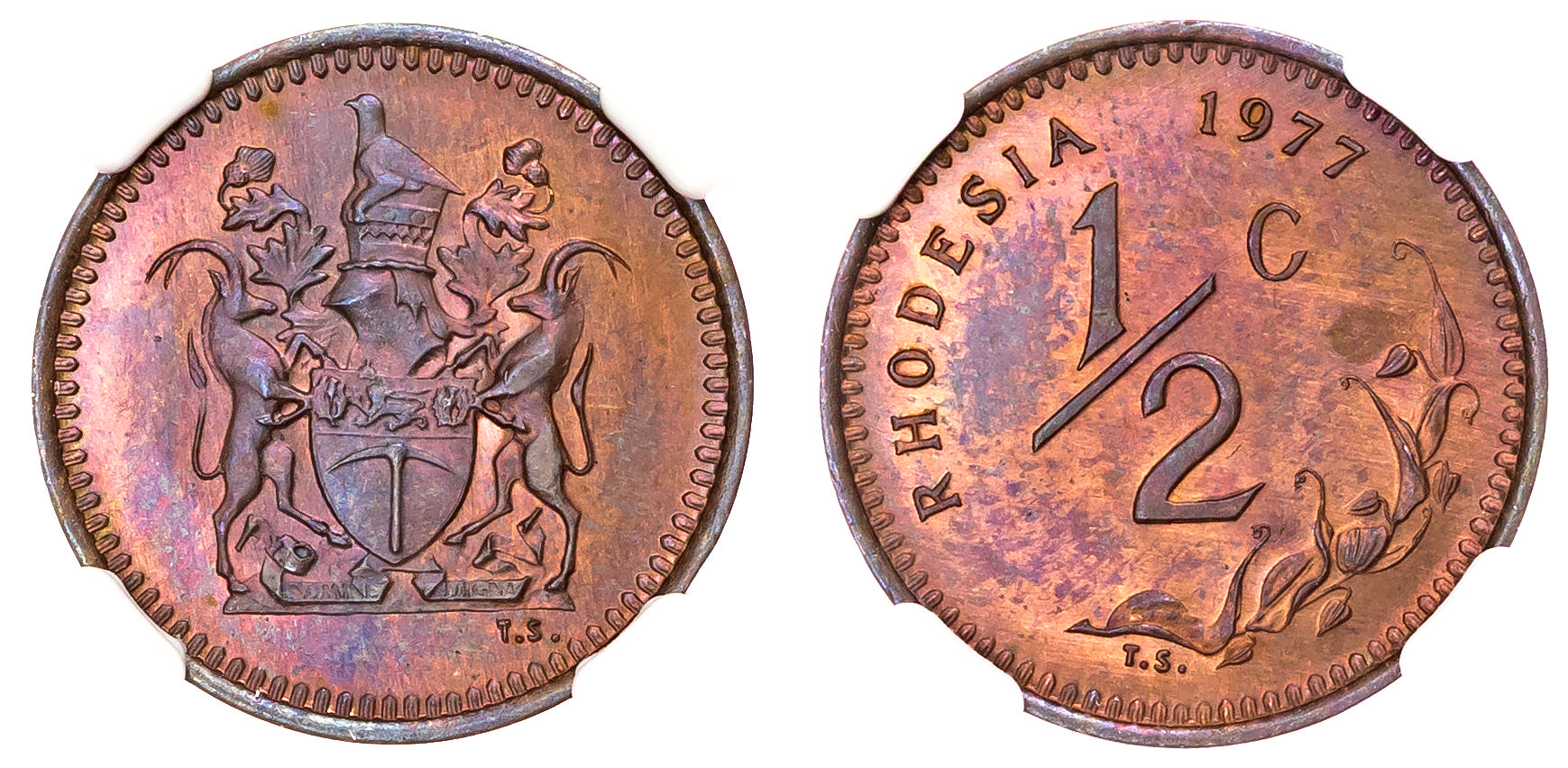 Rhodesia, Republic (1970-1977), bronze Half Cent, 1977 - MS 65 BN