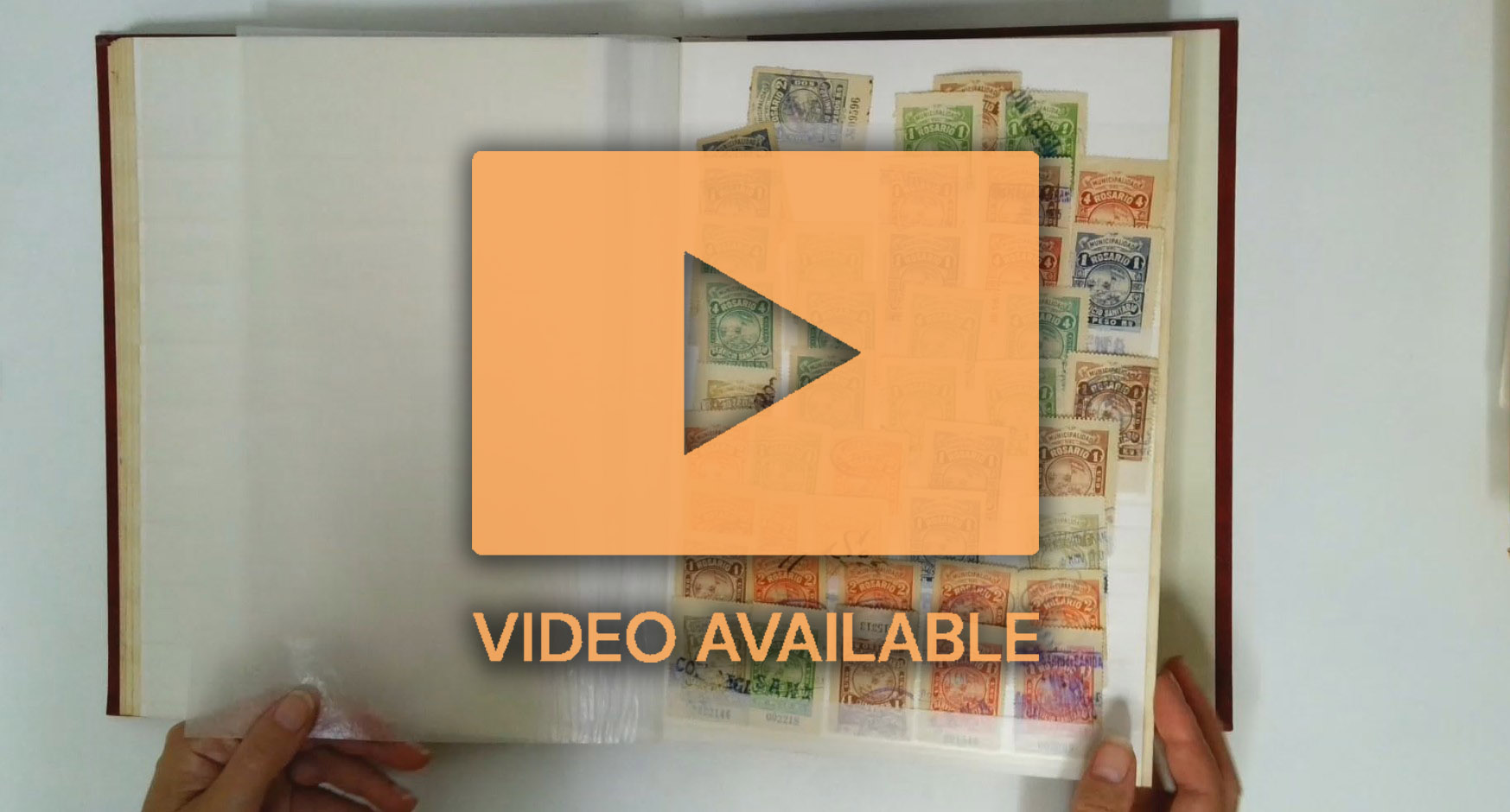 Argentina 19th-20th C. mint and used revenue collection in a carton