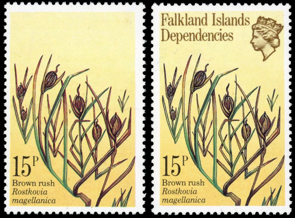 Falkland Islands Dependencies SG 93a 1981 15p Brown Rush, light brown omitted mint