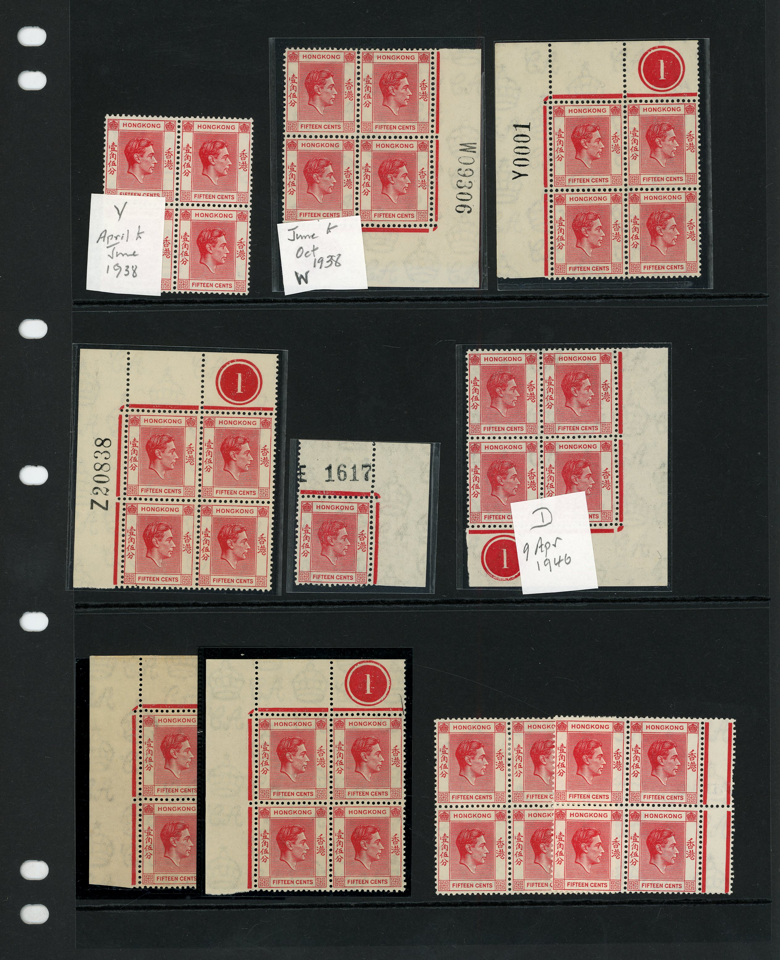 Hong Kong SG 146, a specialised group