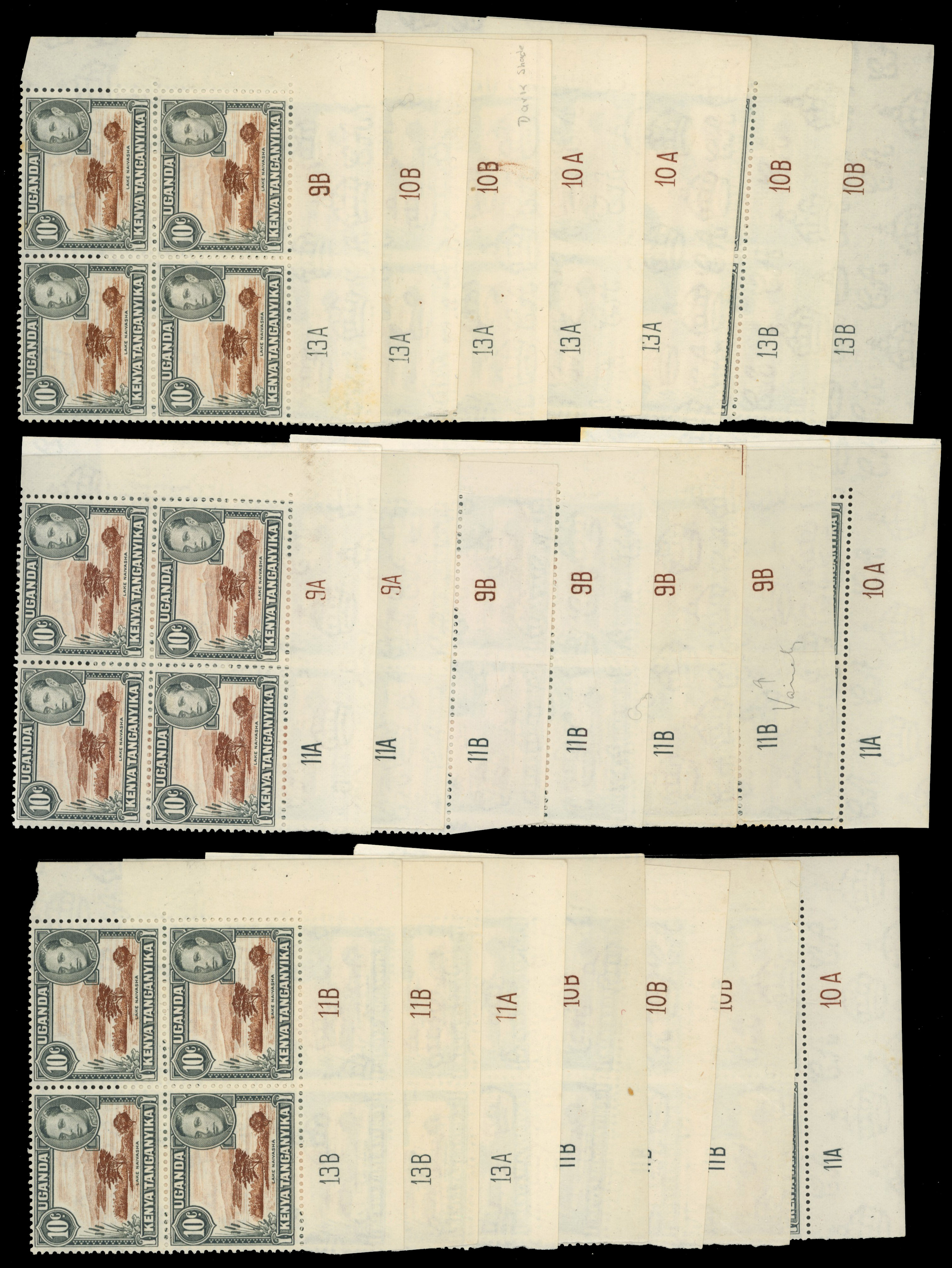 KUT SG 136 collection mint