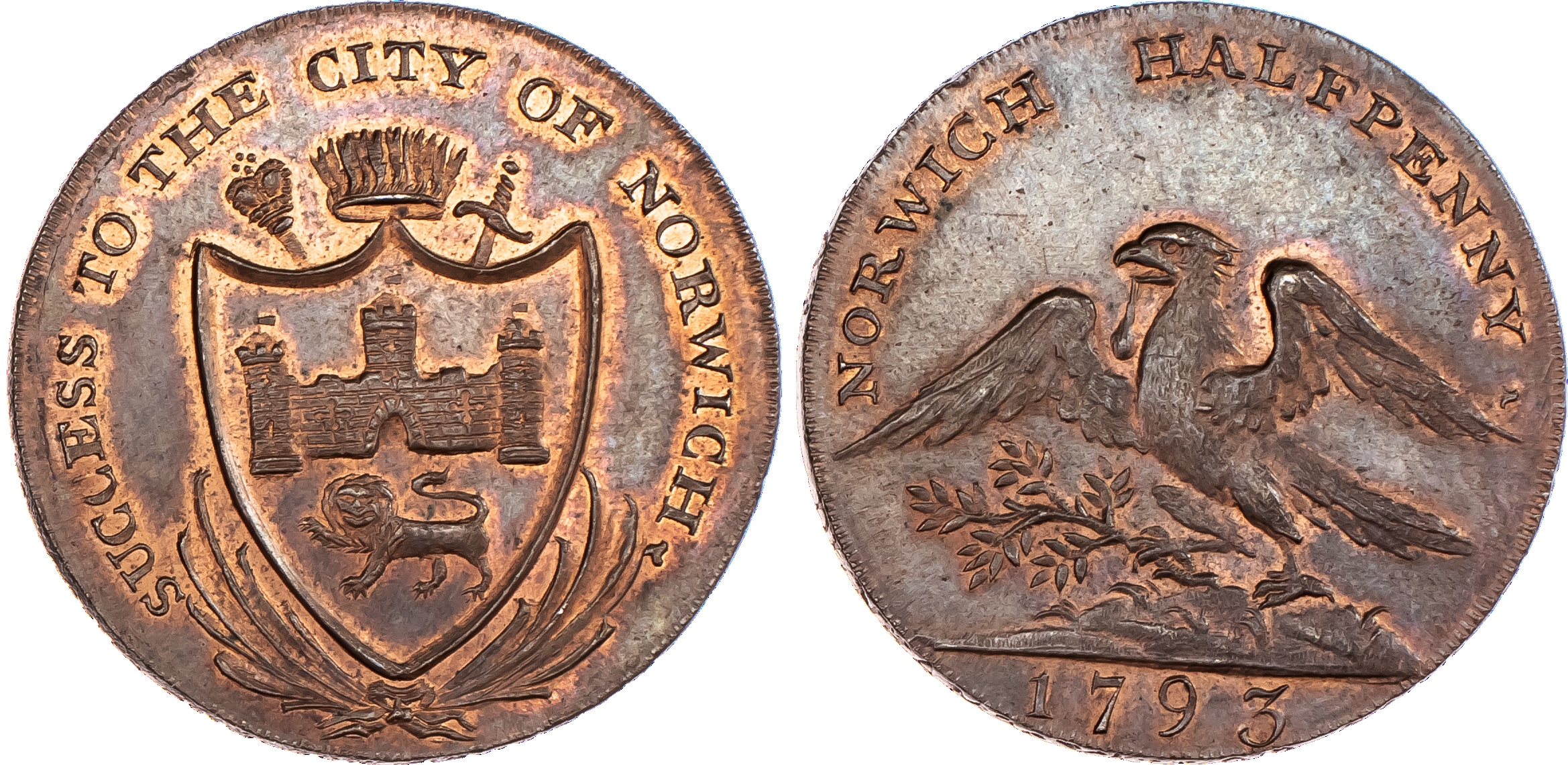 Norwich, Dunham & Yallop Halfpenny 1793, Arms...