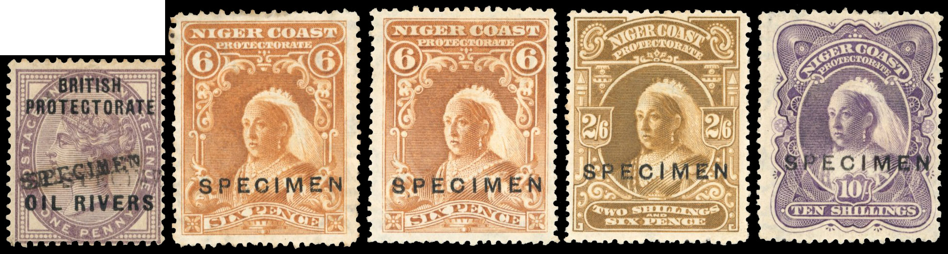 Niger Coast Specimens