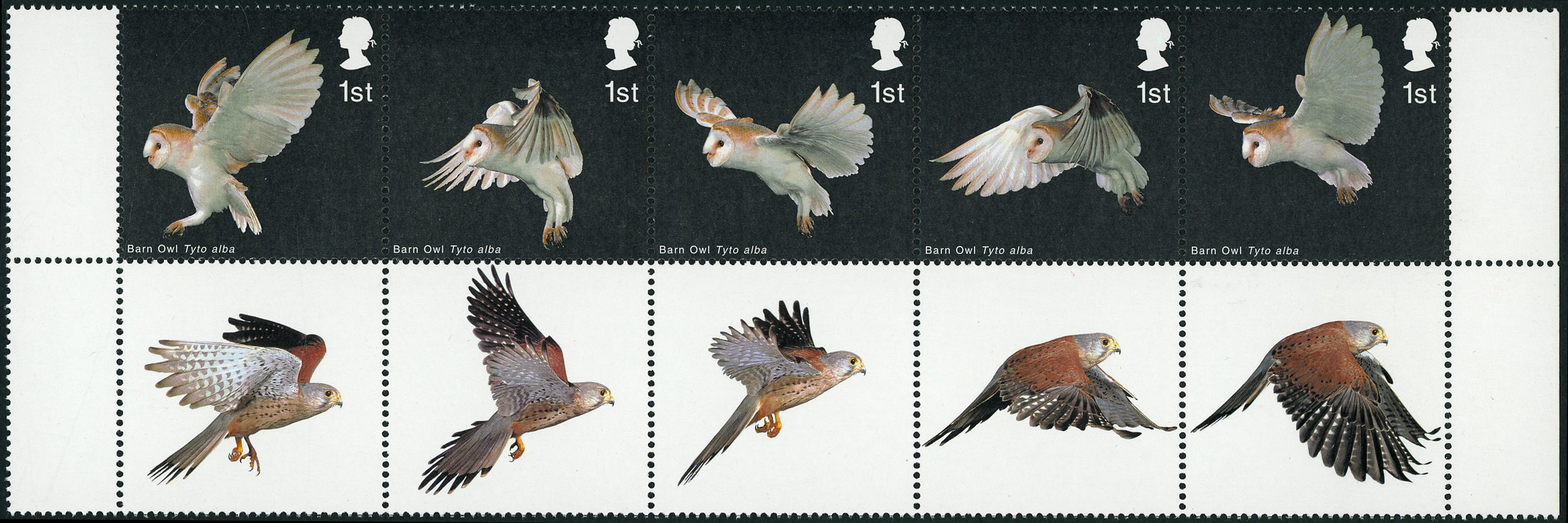 2003 1st Birds of Prey. Very fine unmounted...