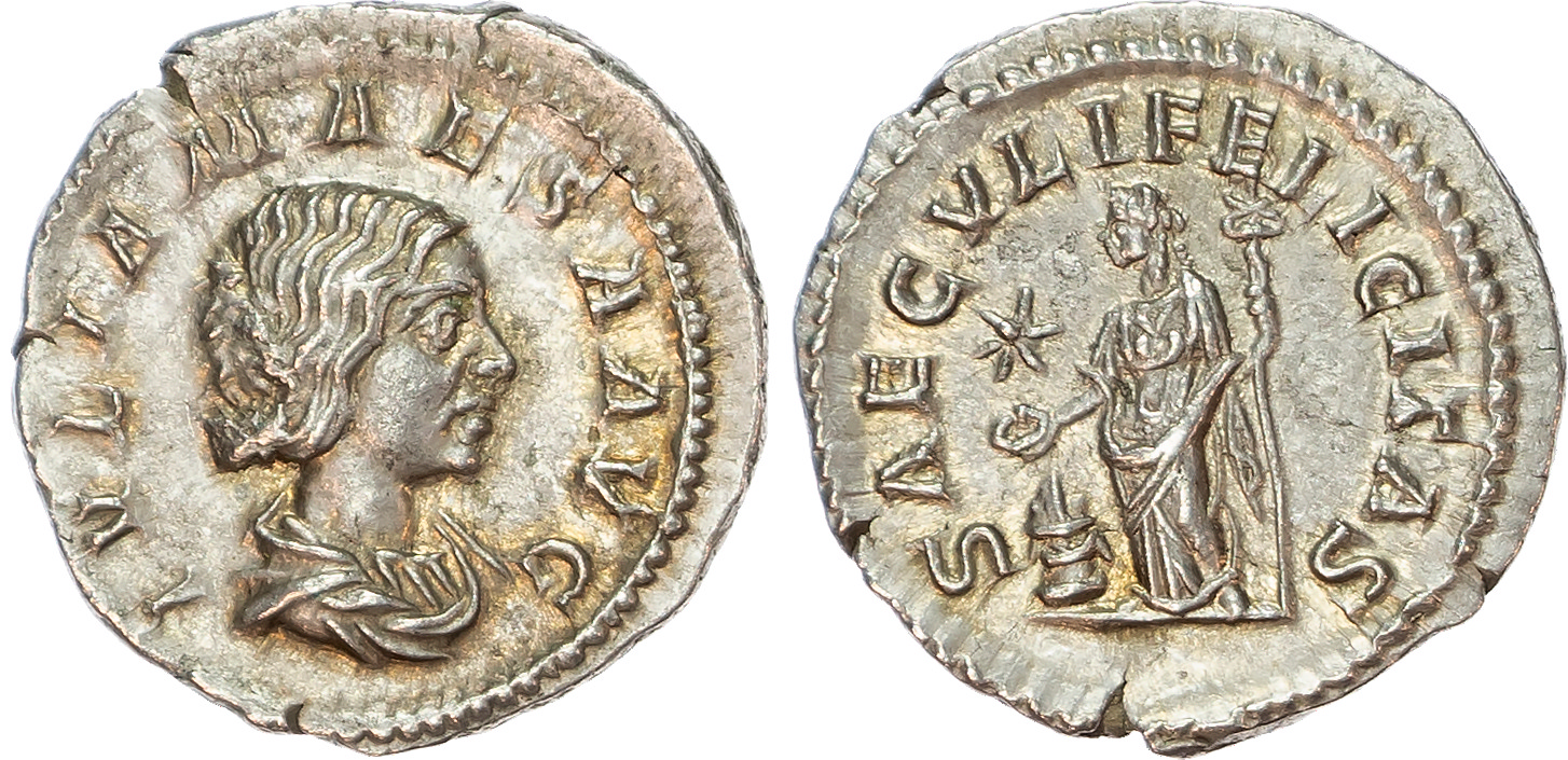 Julia Maesa, grandmother of Elagabalus (AD 218-224/5) AR Denarius, Rome, AD 218-222, 3.04g. 