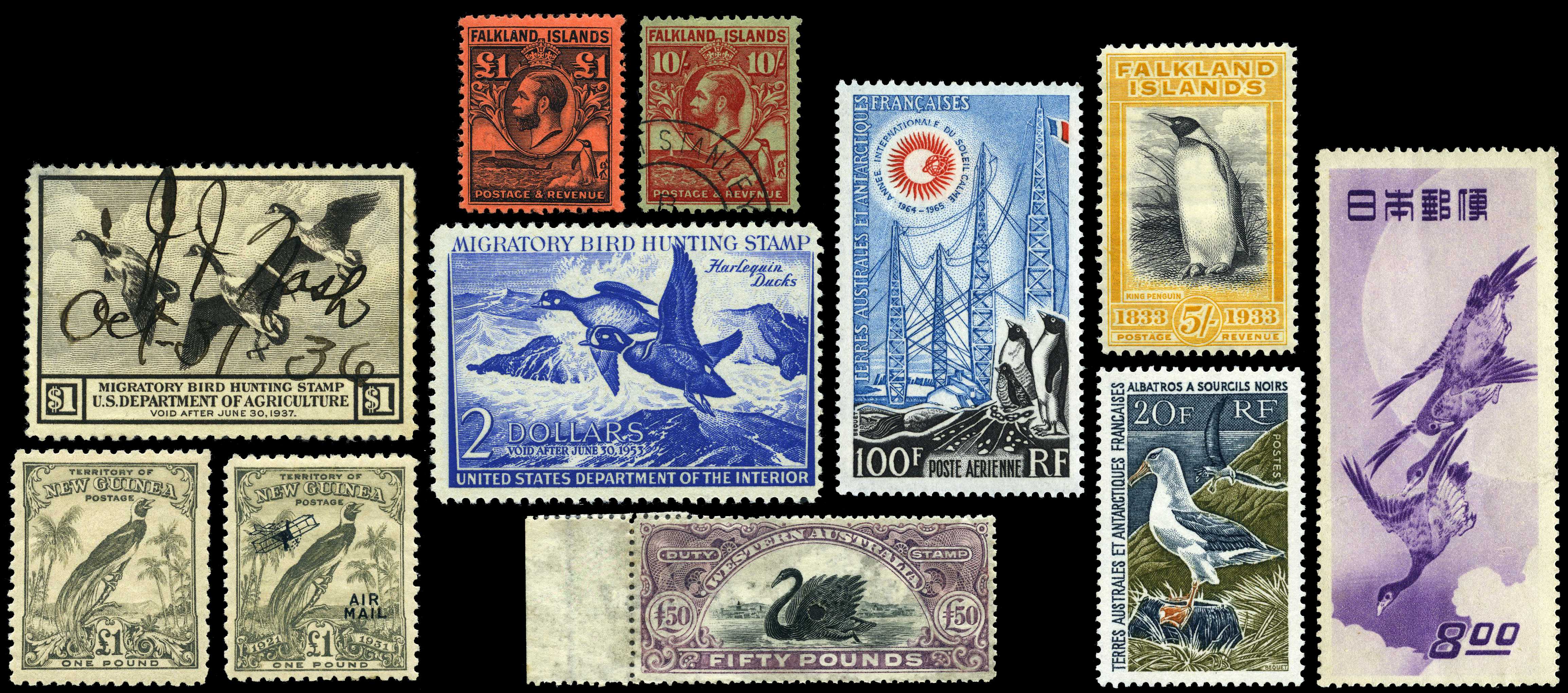 THEMATICS: Bird specialised collection housed...