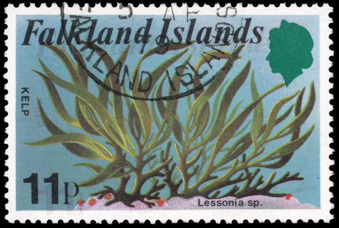 Falkland Islands SG 357var black printed double used