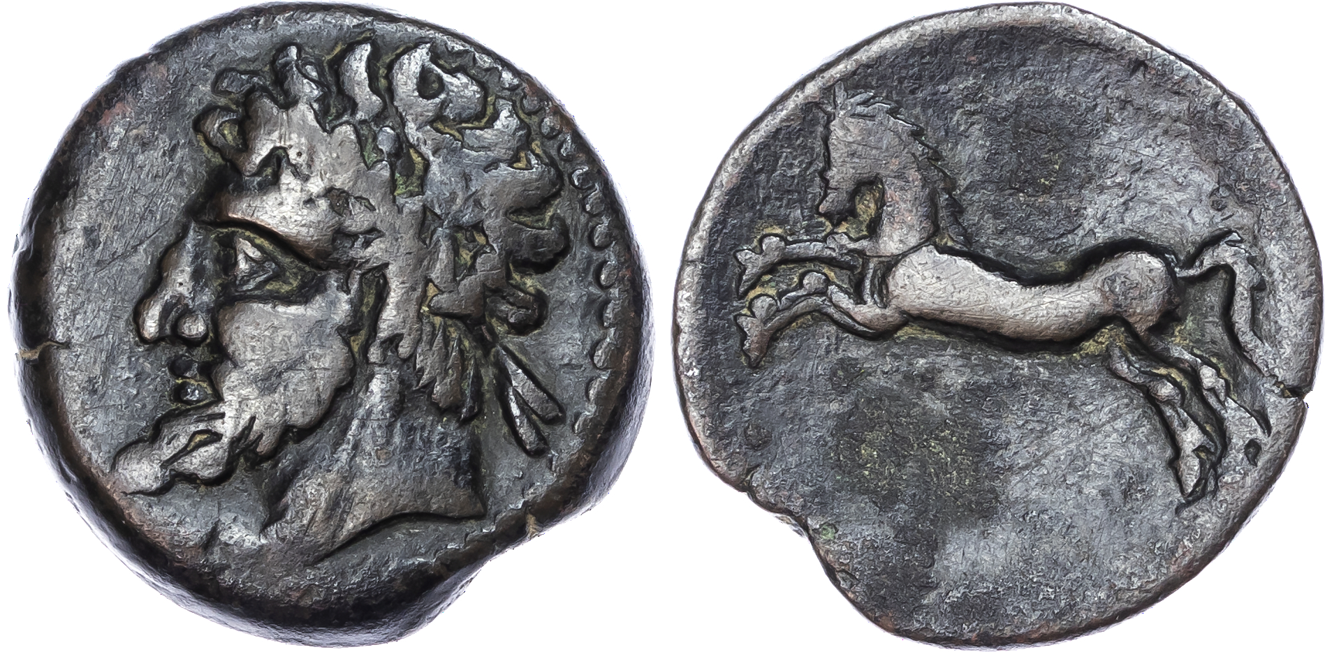 Numidia, Micipsa (148-118 BC) AE Unit