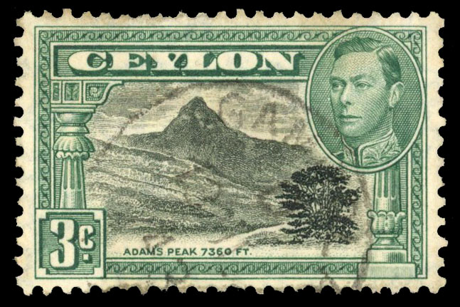 Ceylon SG 387dw used