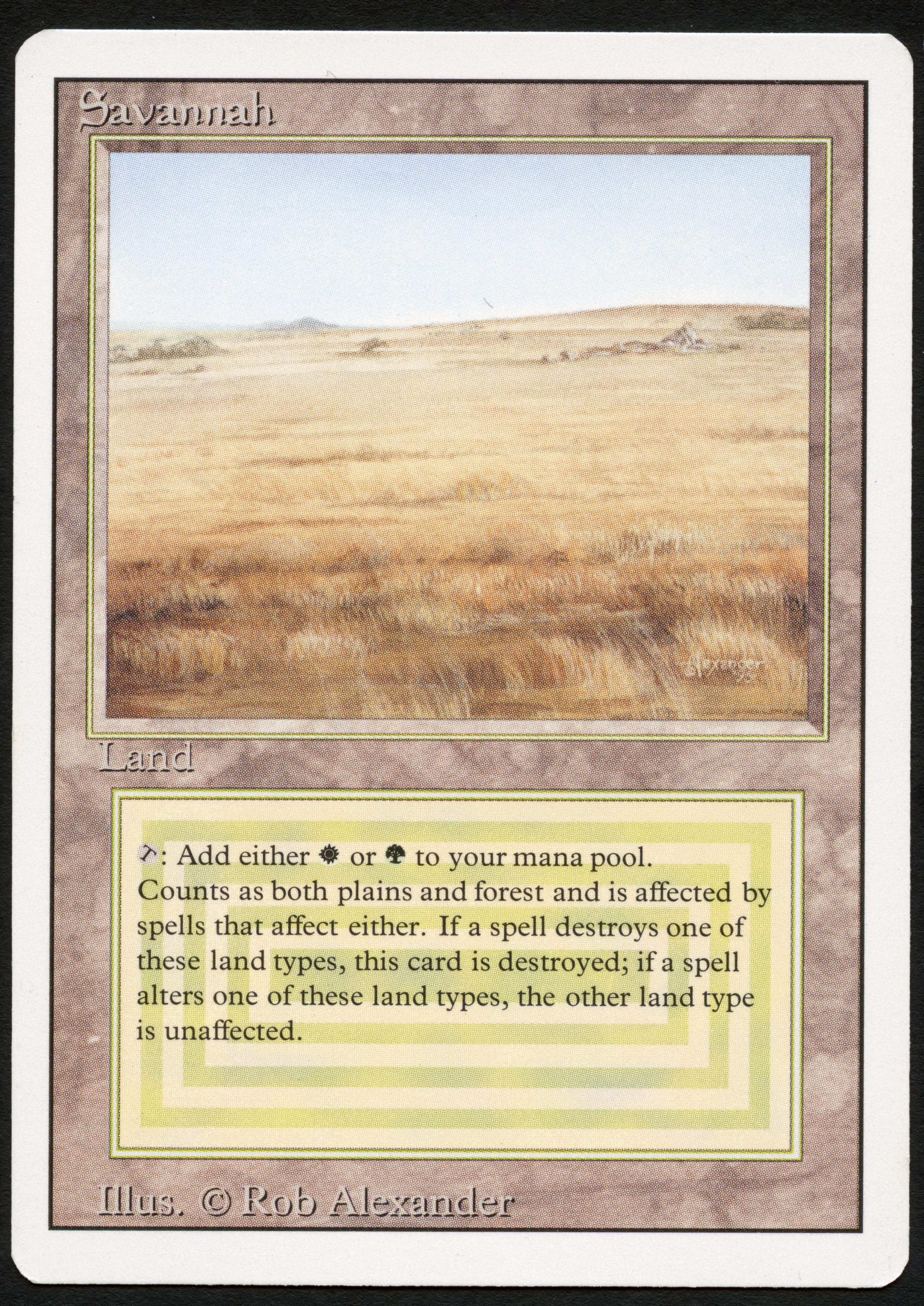 Savannah - Revised - Light Play Condition