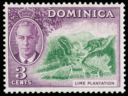 1951 3c green and reddish violet showing wmk...